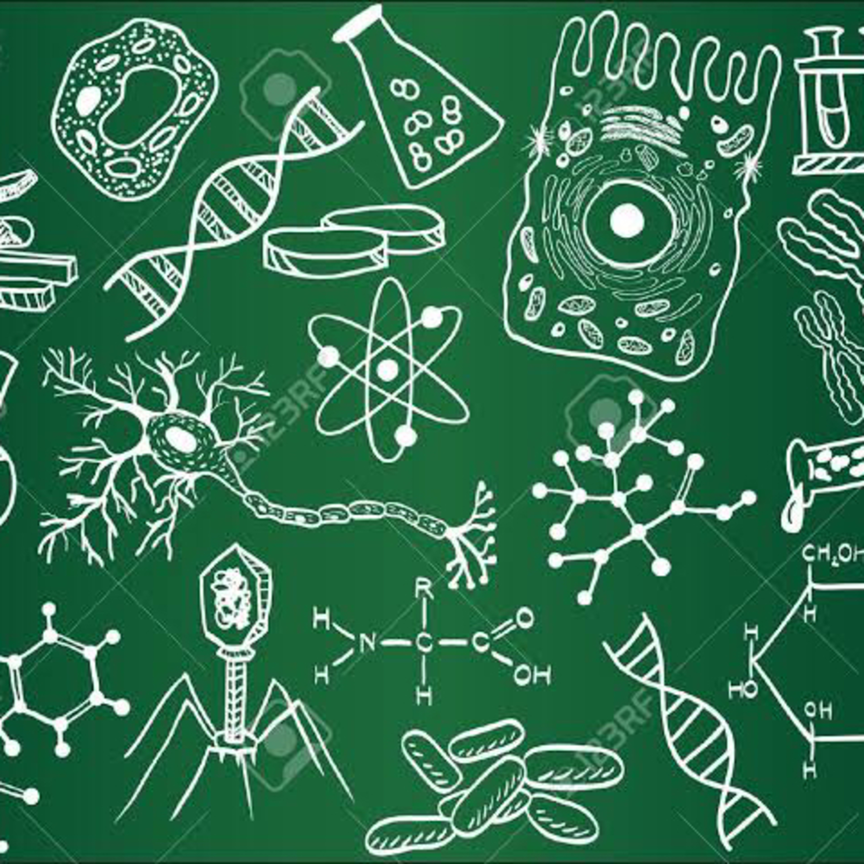 Biología  episode artwork