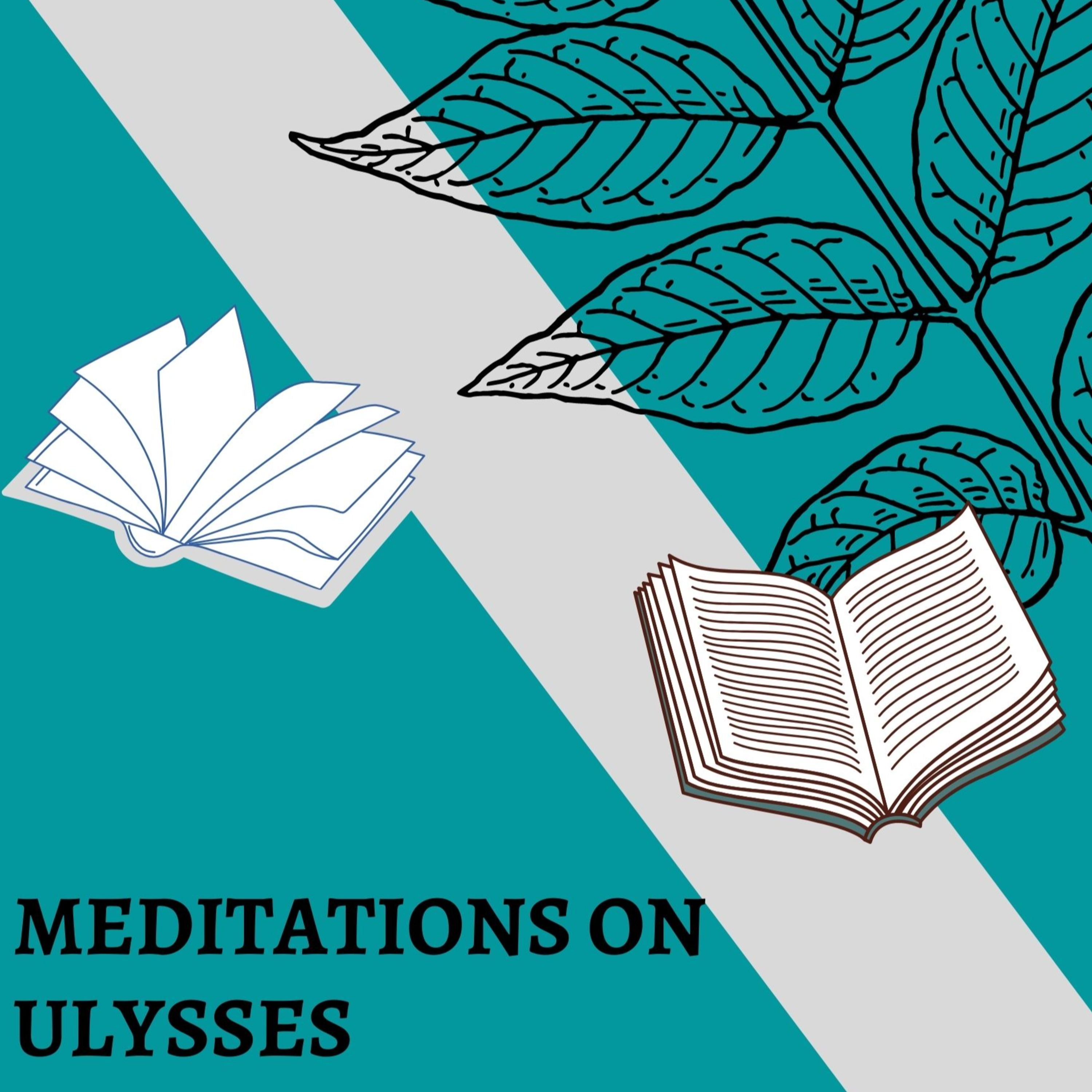 Meditations on Ulysses