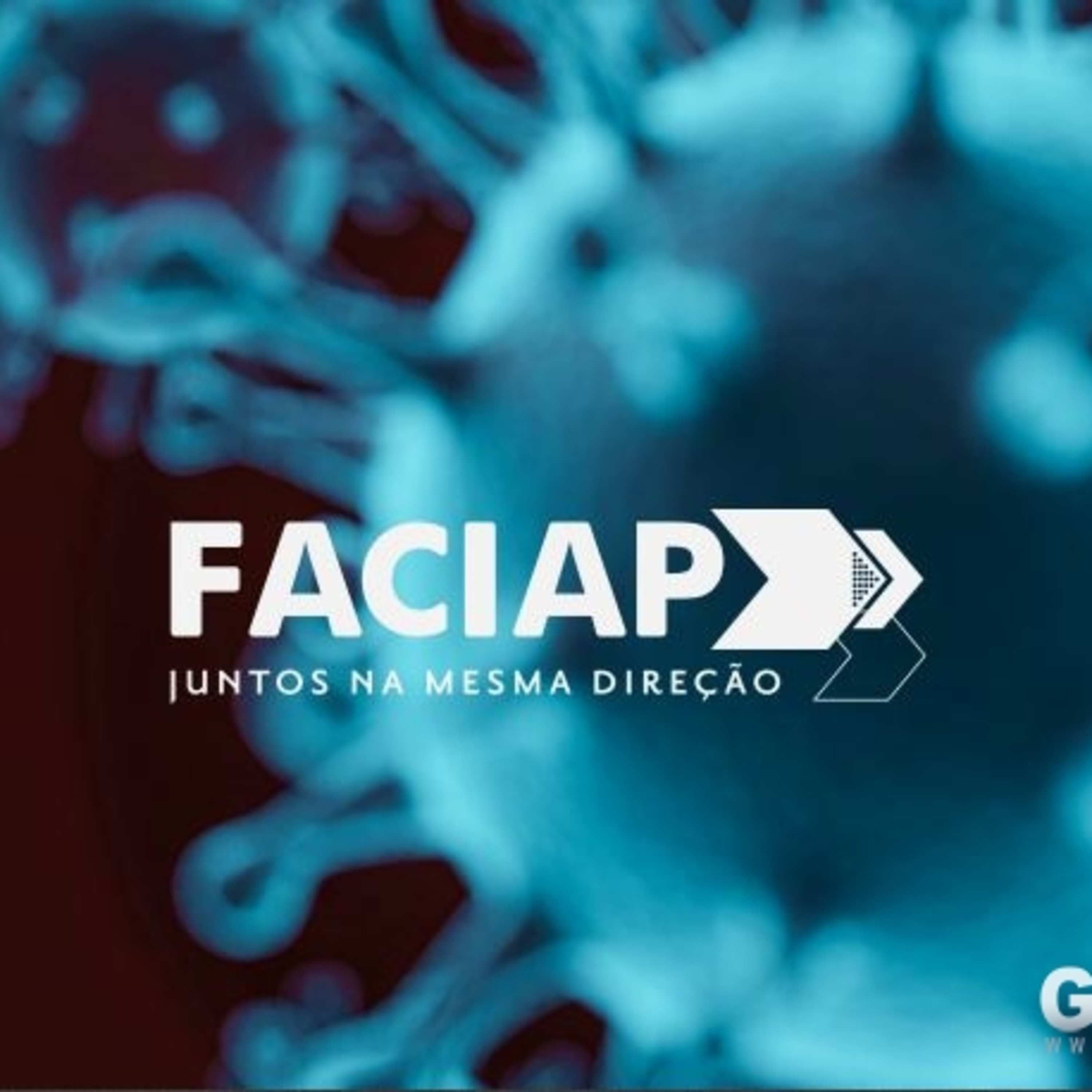 Acismi Informa