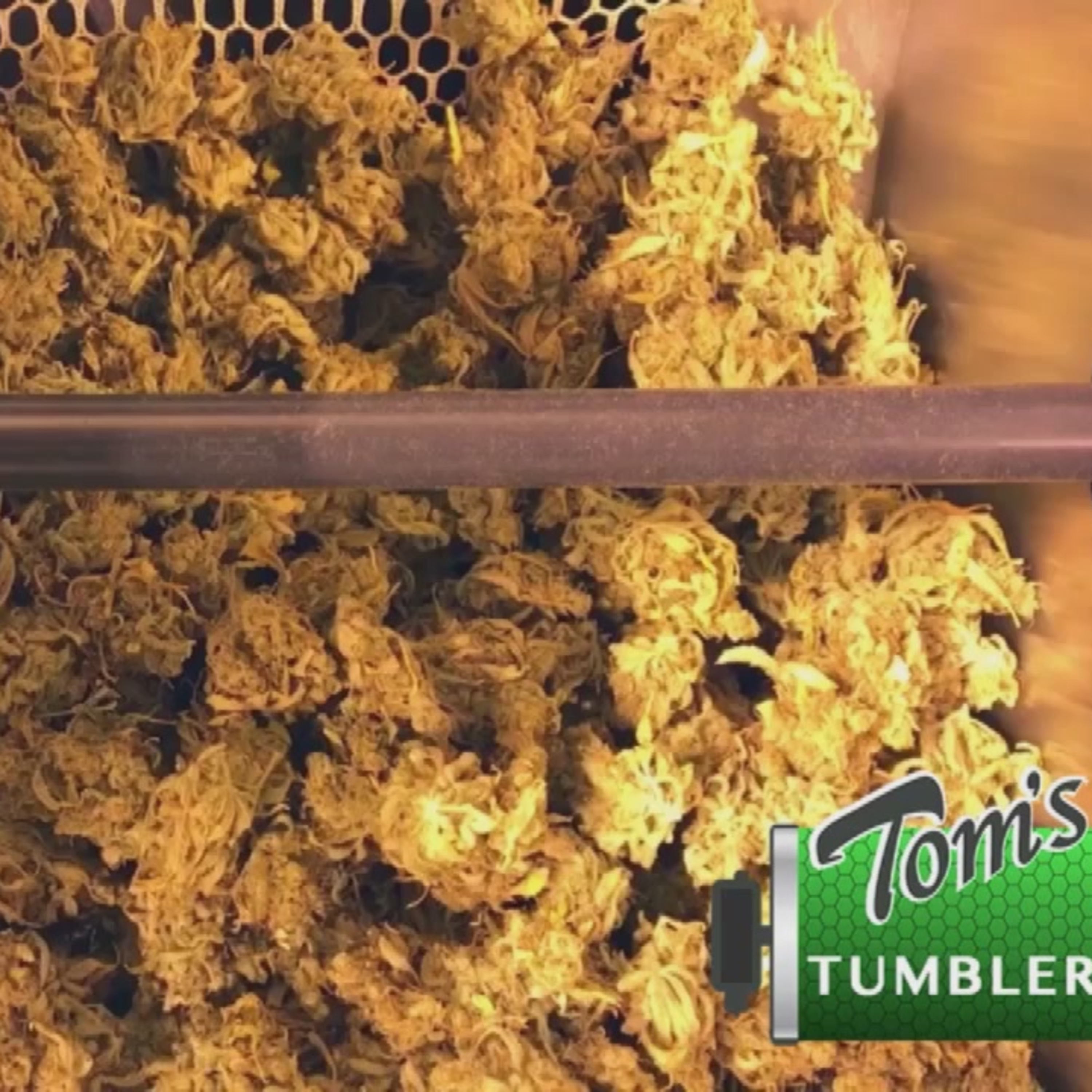 The Average Joe Grow Show