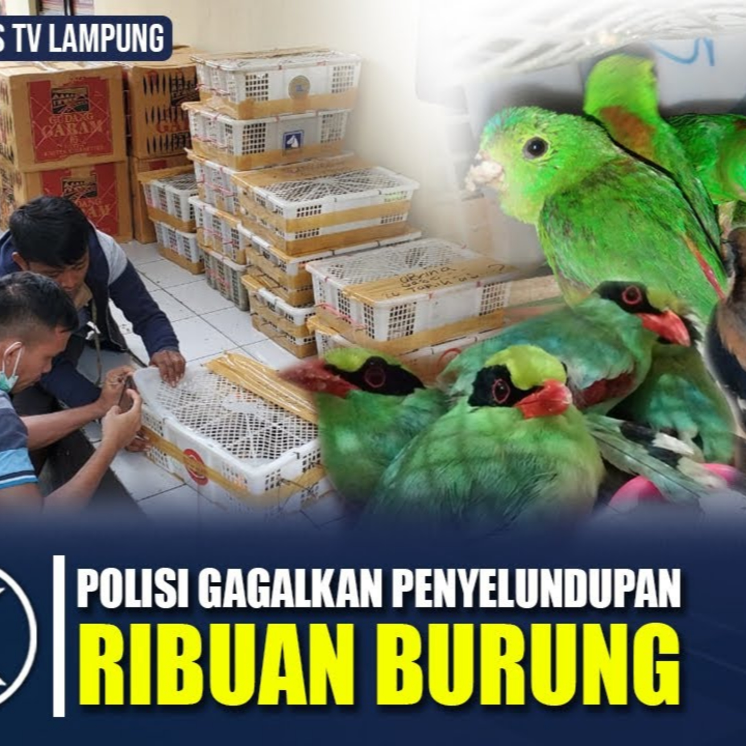 Kupas Tuntas Radio