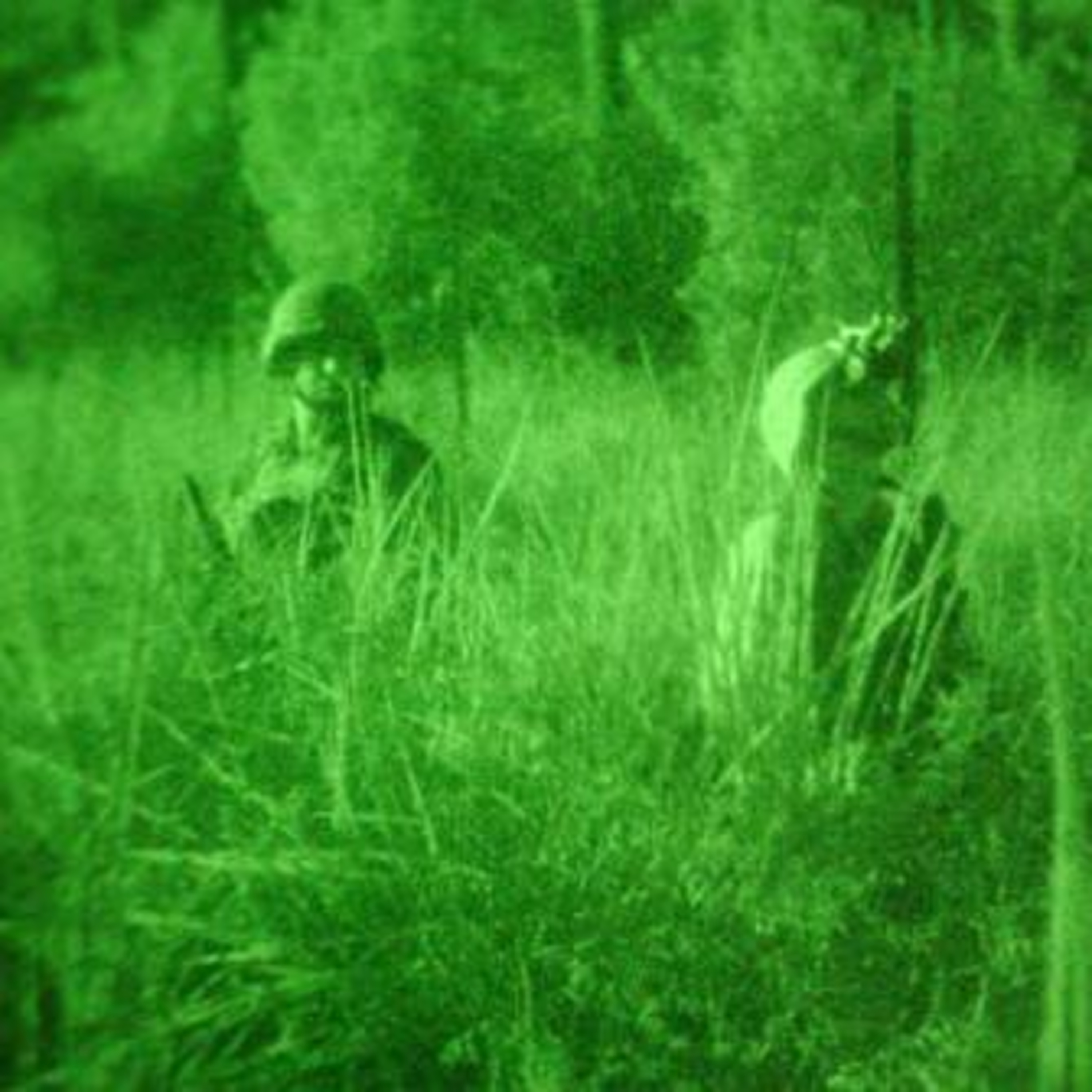Divine Night Vision episode artwork