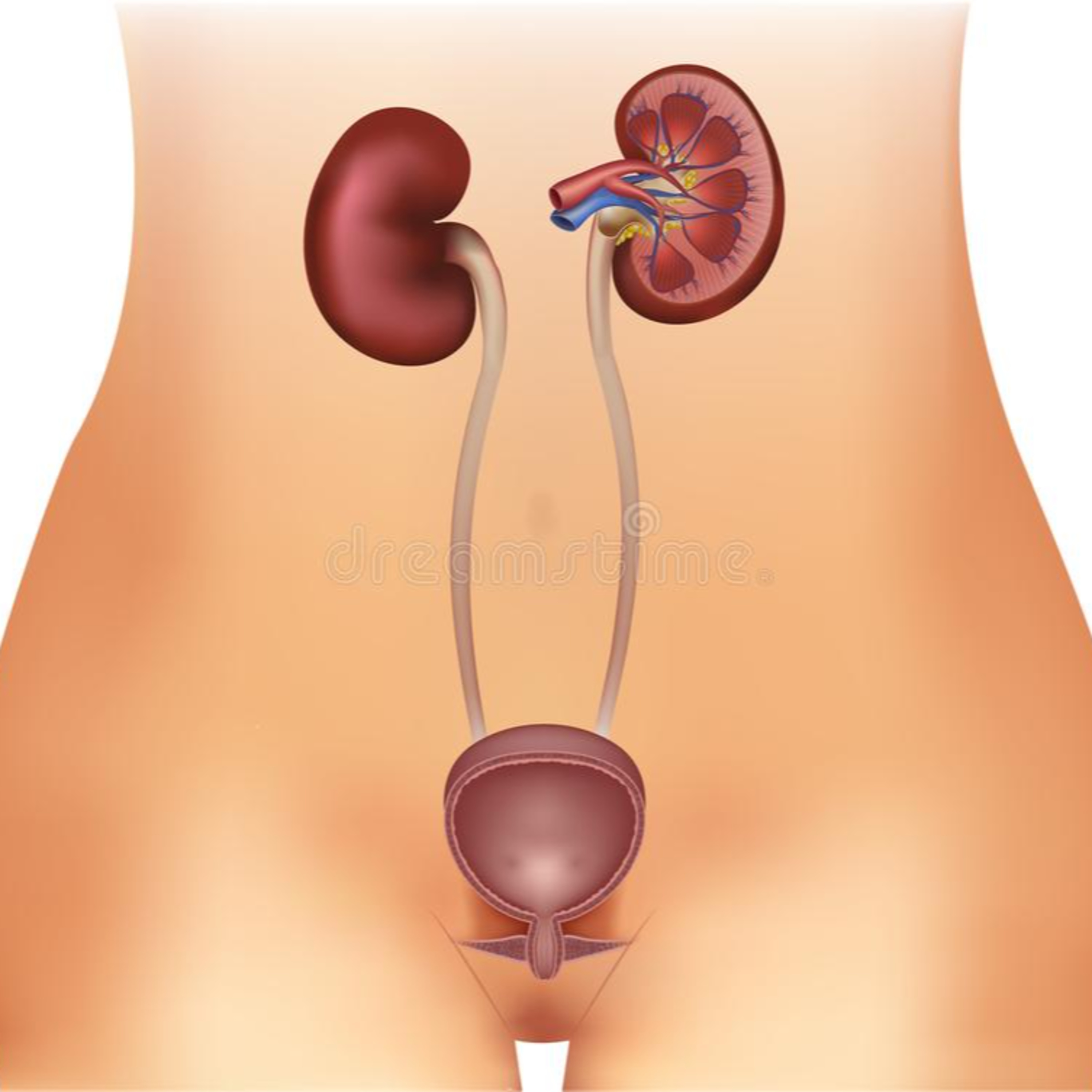 Charla entre médicos
