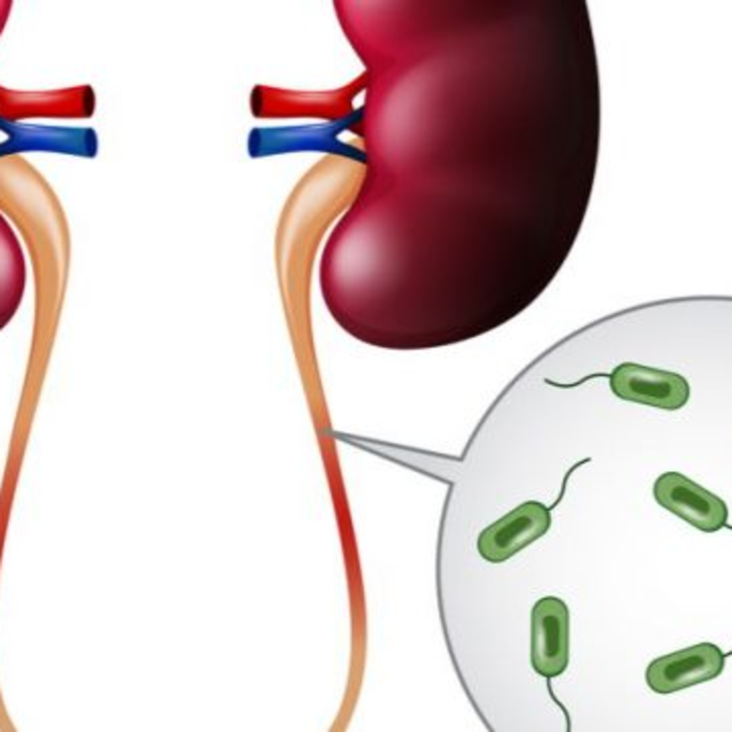 Charla entre médicos