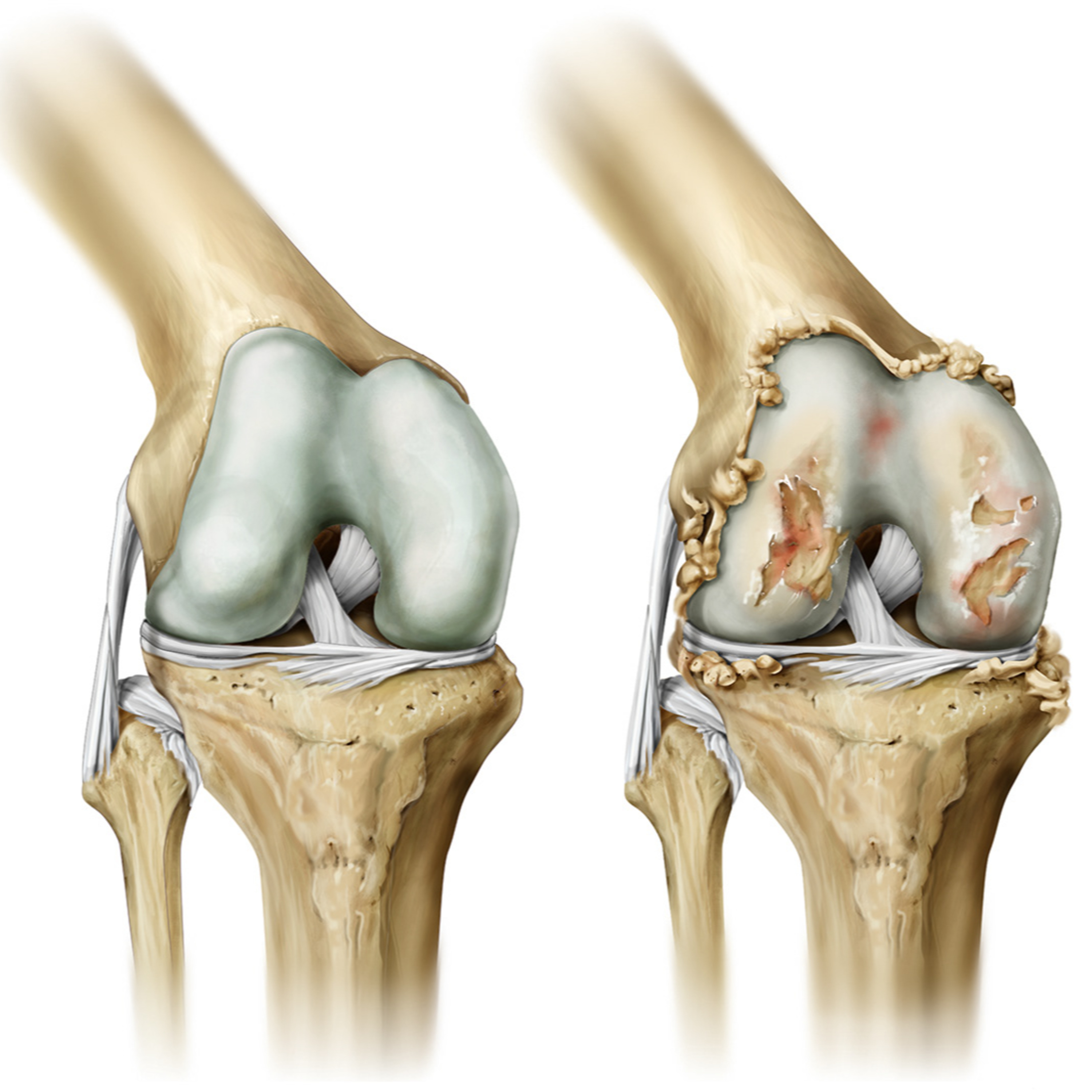 Charla entre médicos