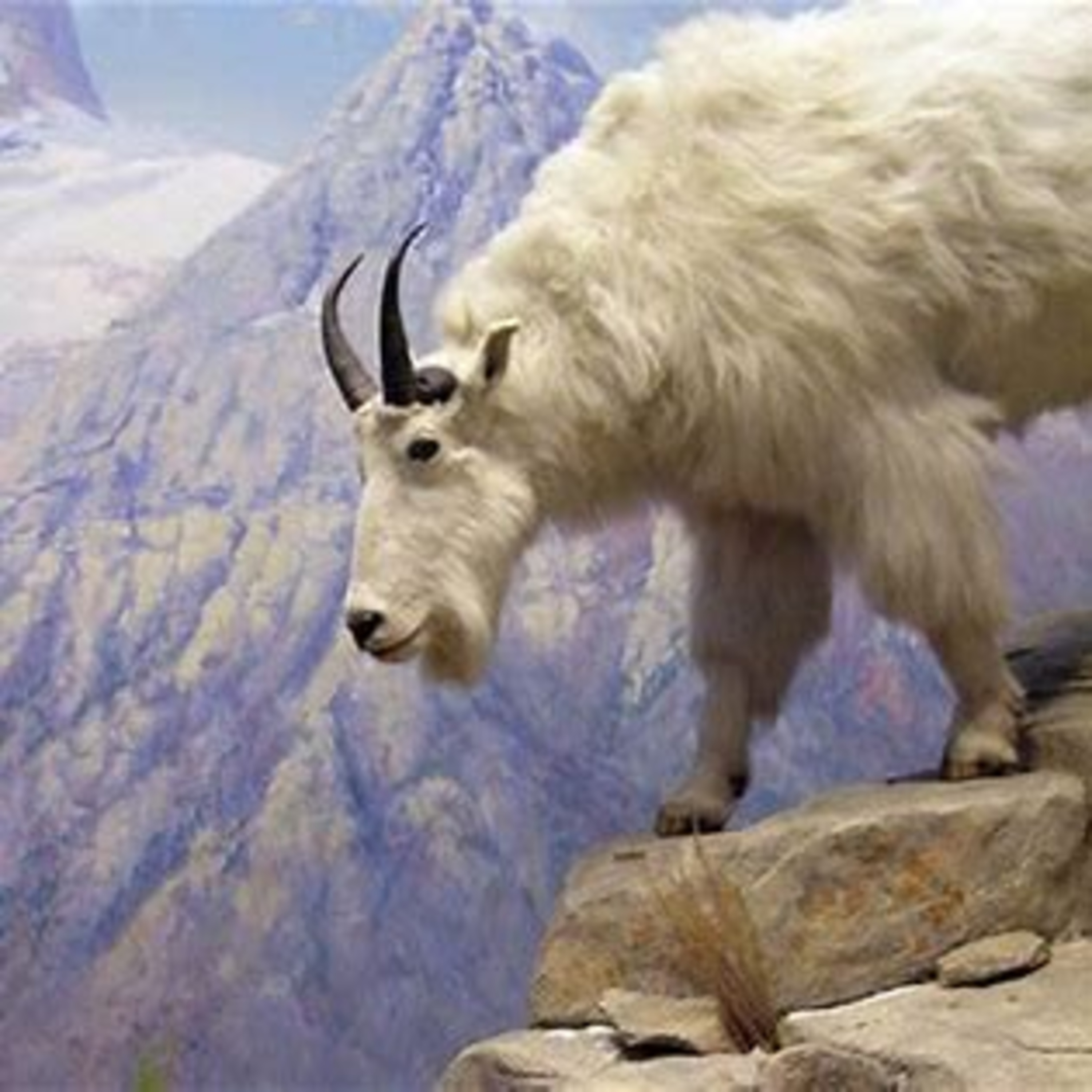 Demonic Goat Nations Are An Abomination To God!💯 episode artwork