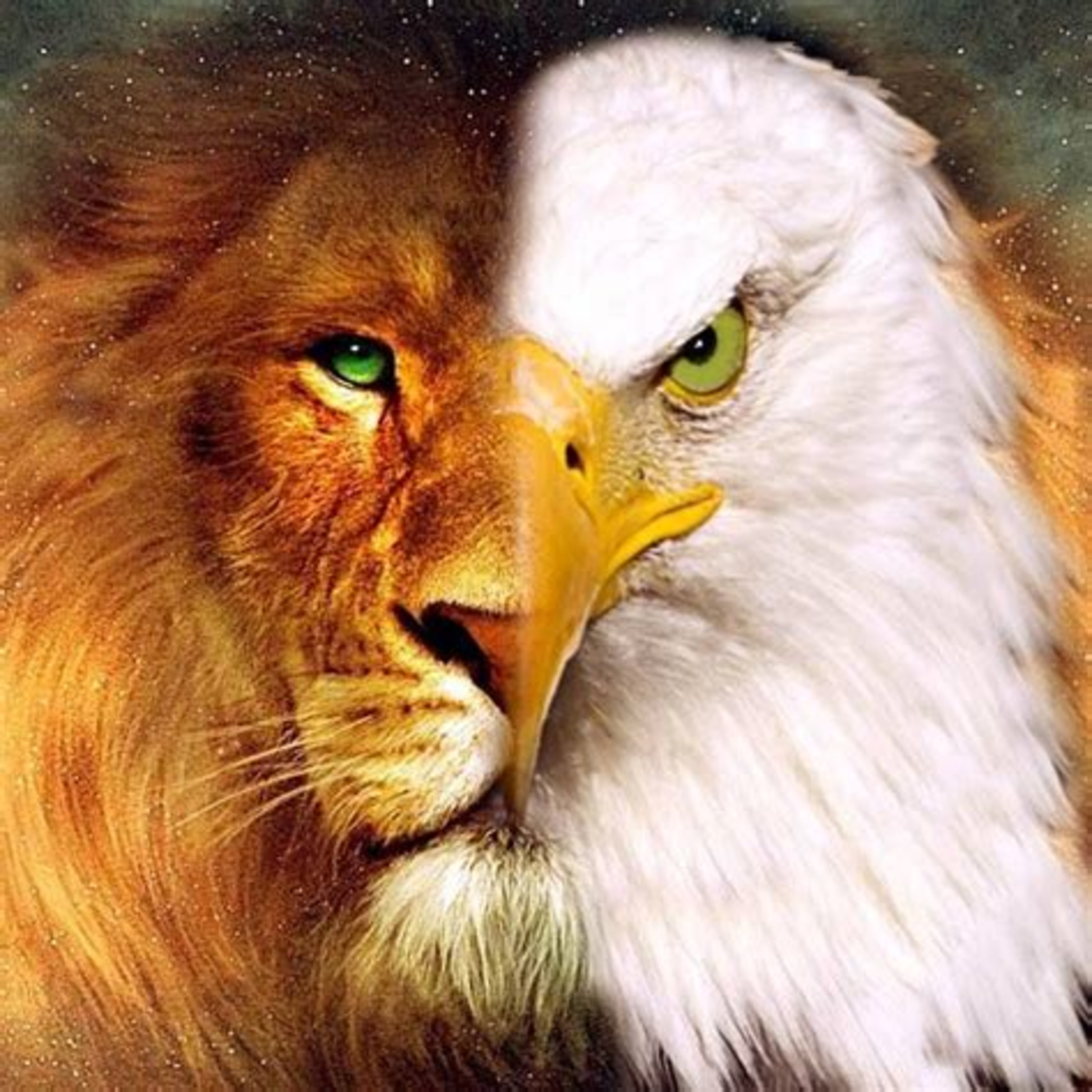 God's Endtime Apostles & Prophets Will Shake The World episode artwork