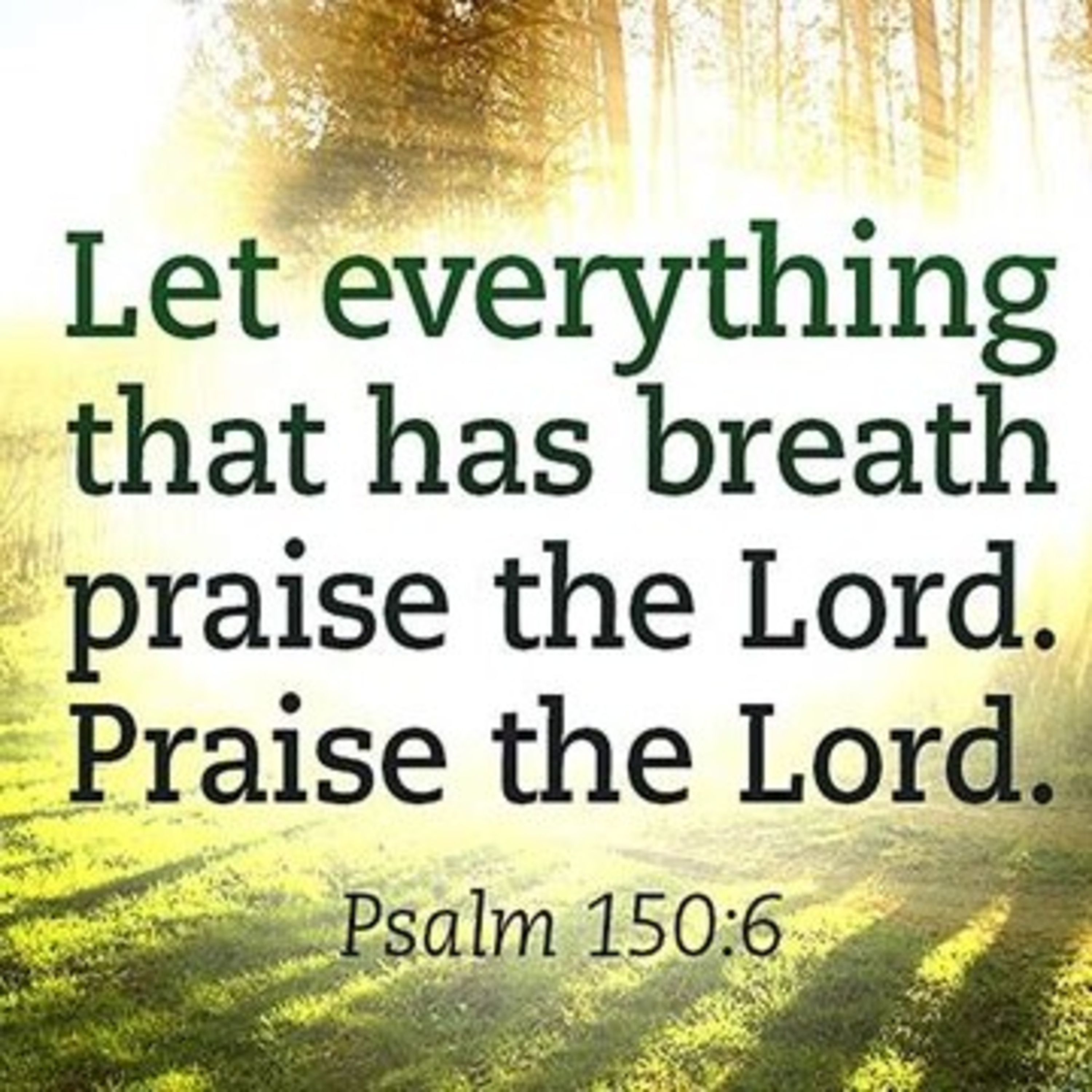 Praise The Lord Forevermore  episode artwork