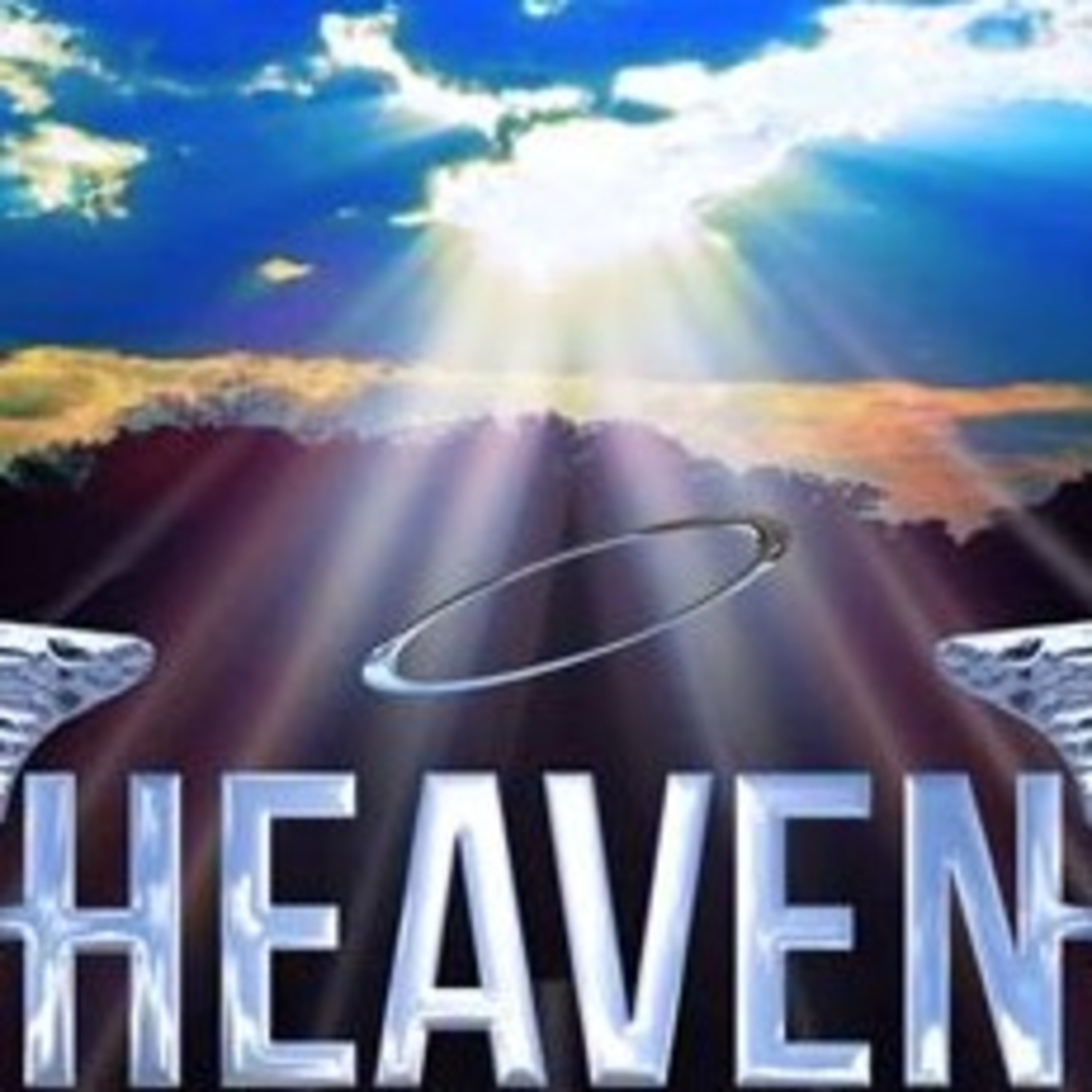 Everybody's Not Going To Heaven  episode artwork