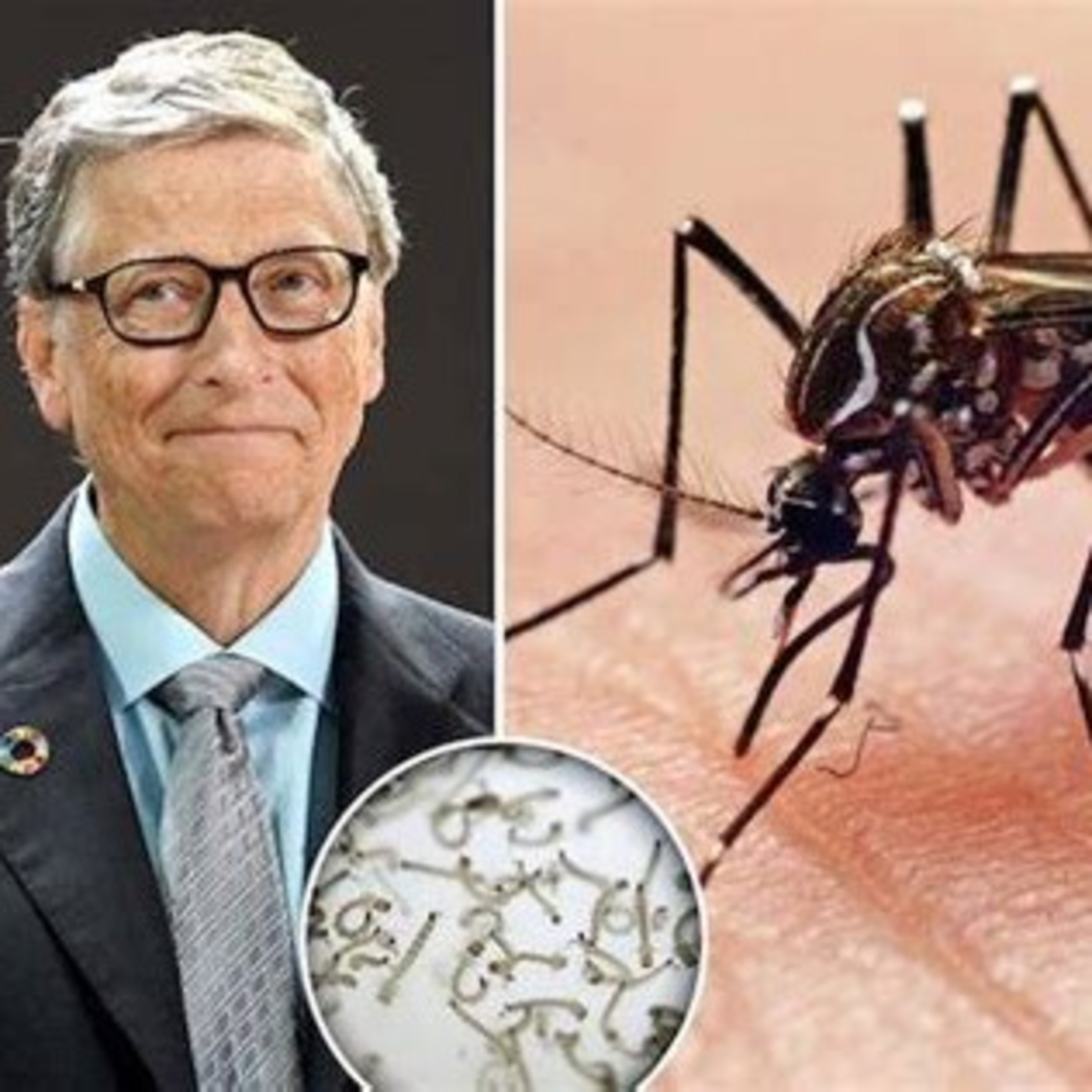Evil Antichrist Bill Gates Releases Deadly GMO Mosquitos  episode artwork