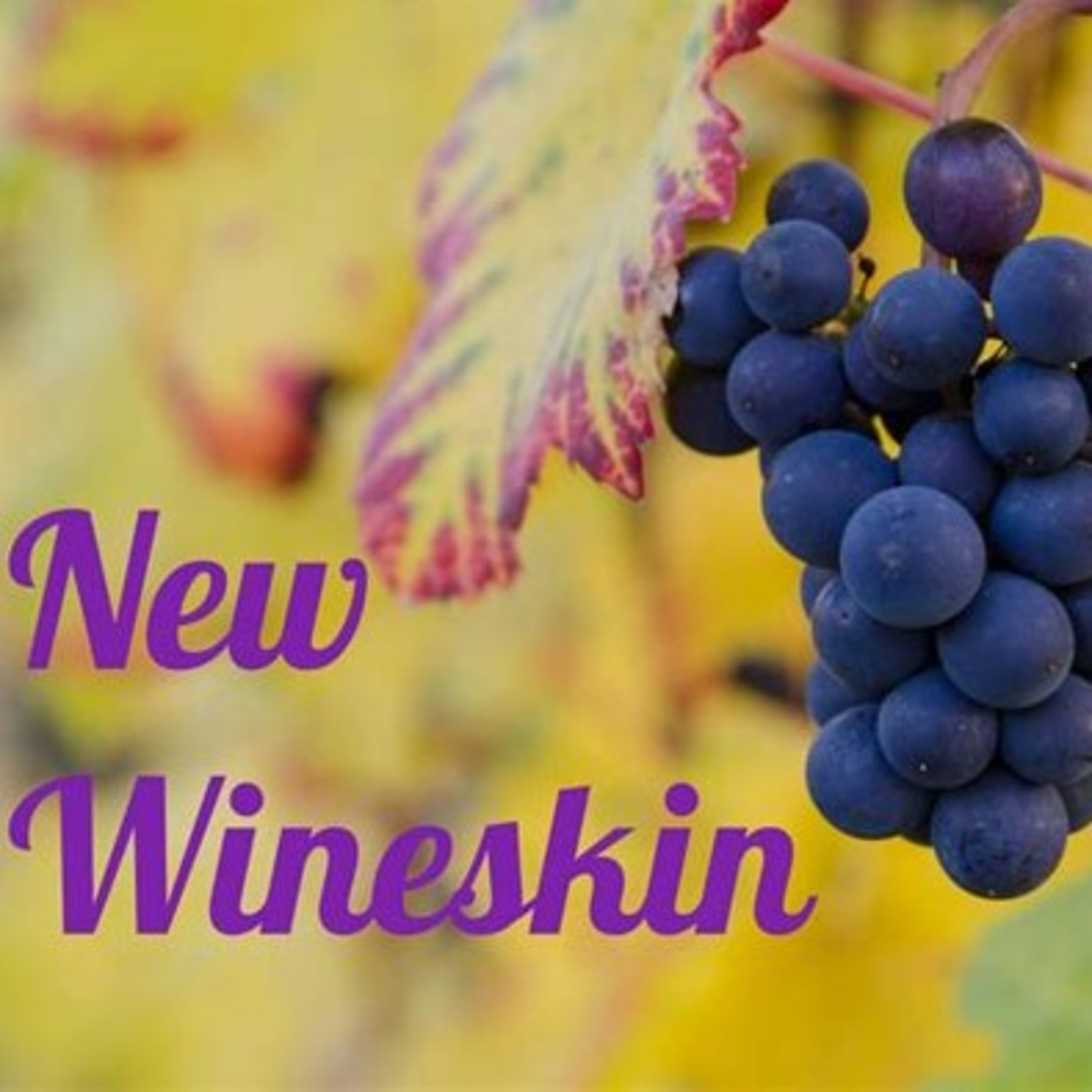 New Wineskin Methods But The Same Message  episode artwork
