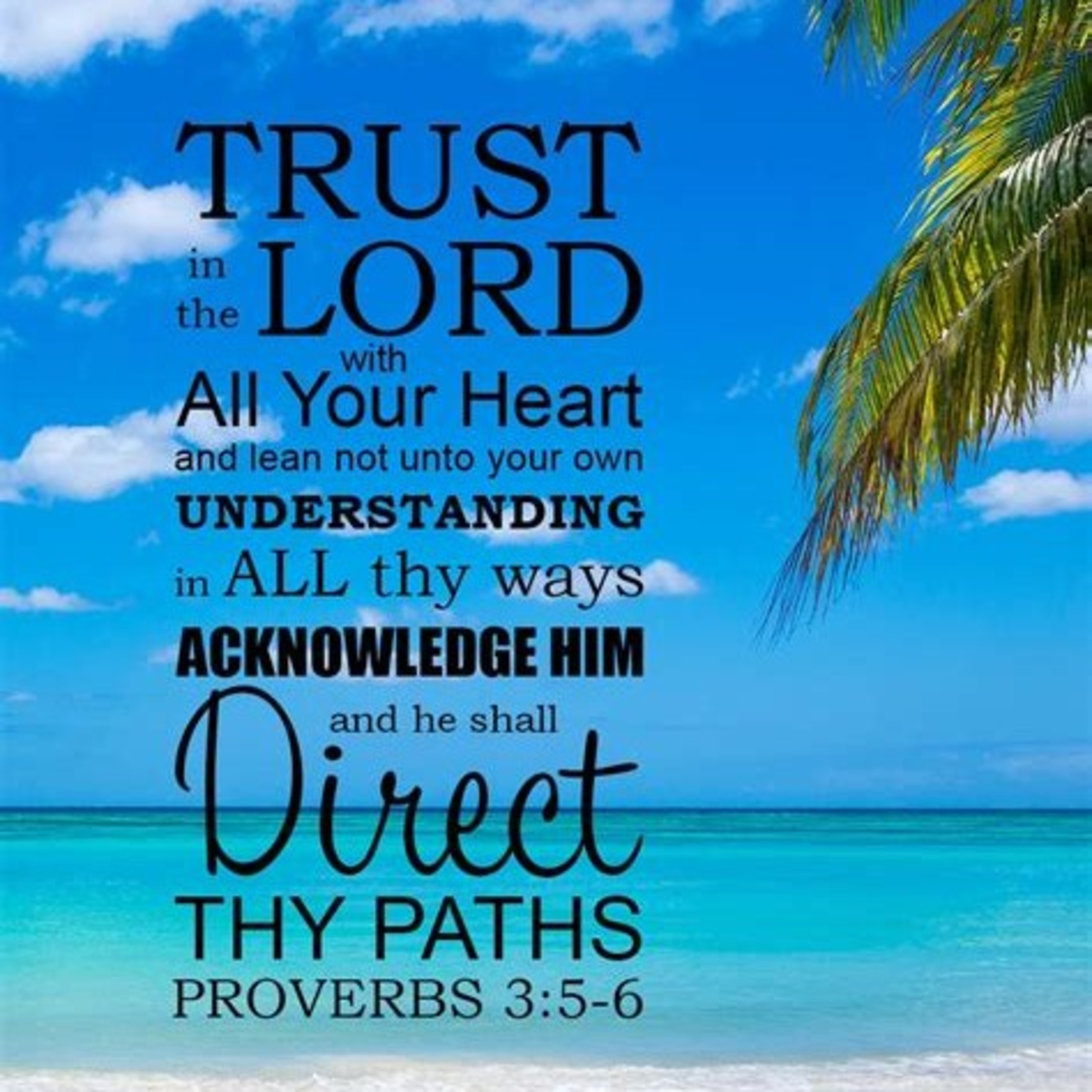 Trust In The Lord, Believe His Word, Prophecies, & Promises  episode artwork