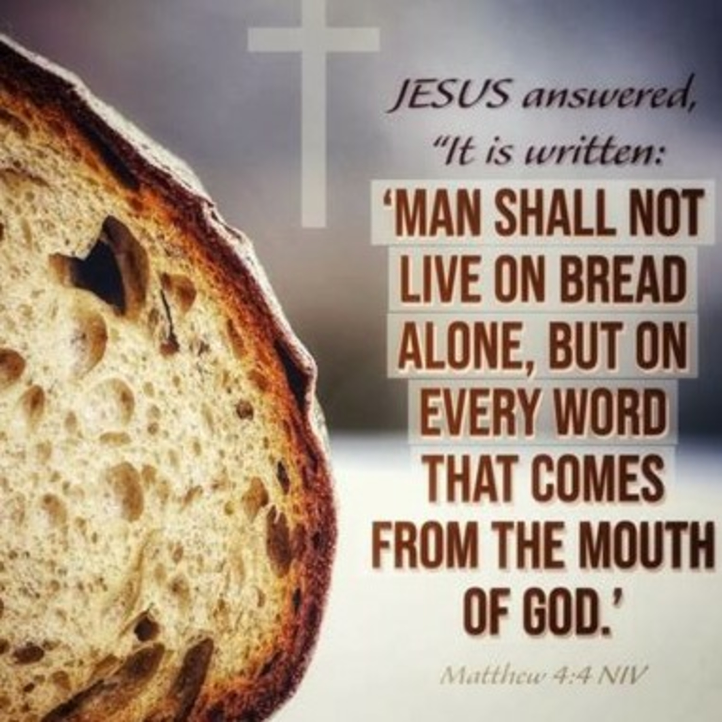 The Word Of God Is Nourishment For Your Spirit  episode artwork