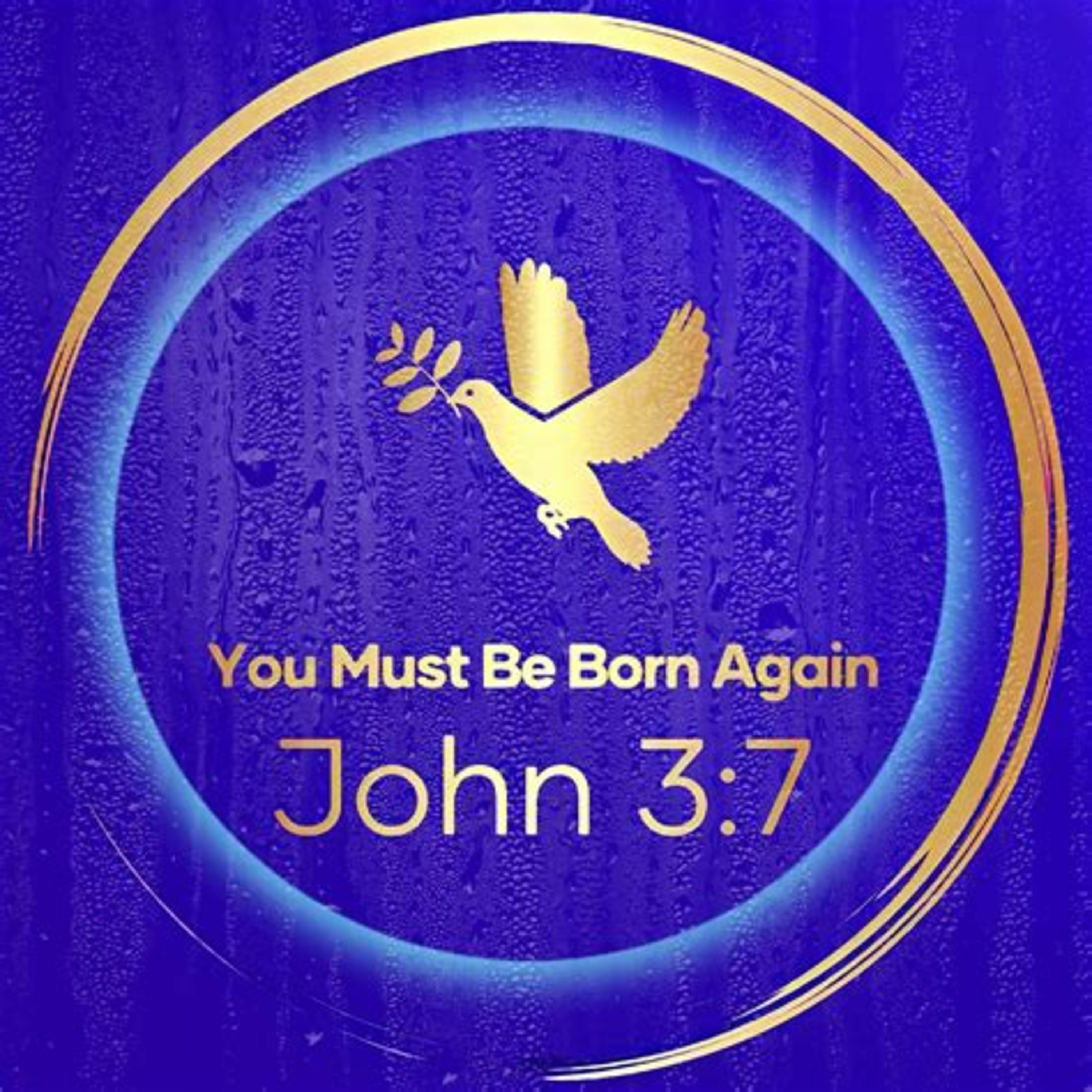 Jesus Said You Must Be Born Again episode artwork