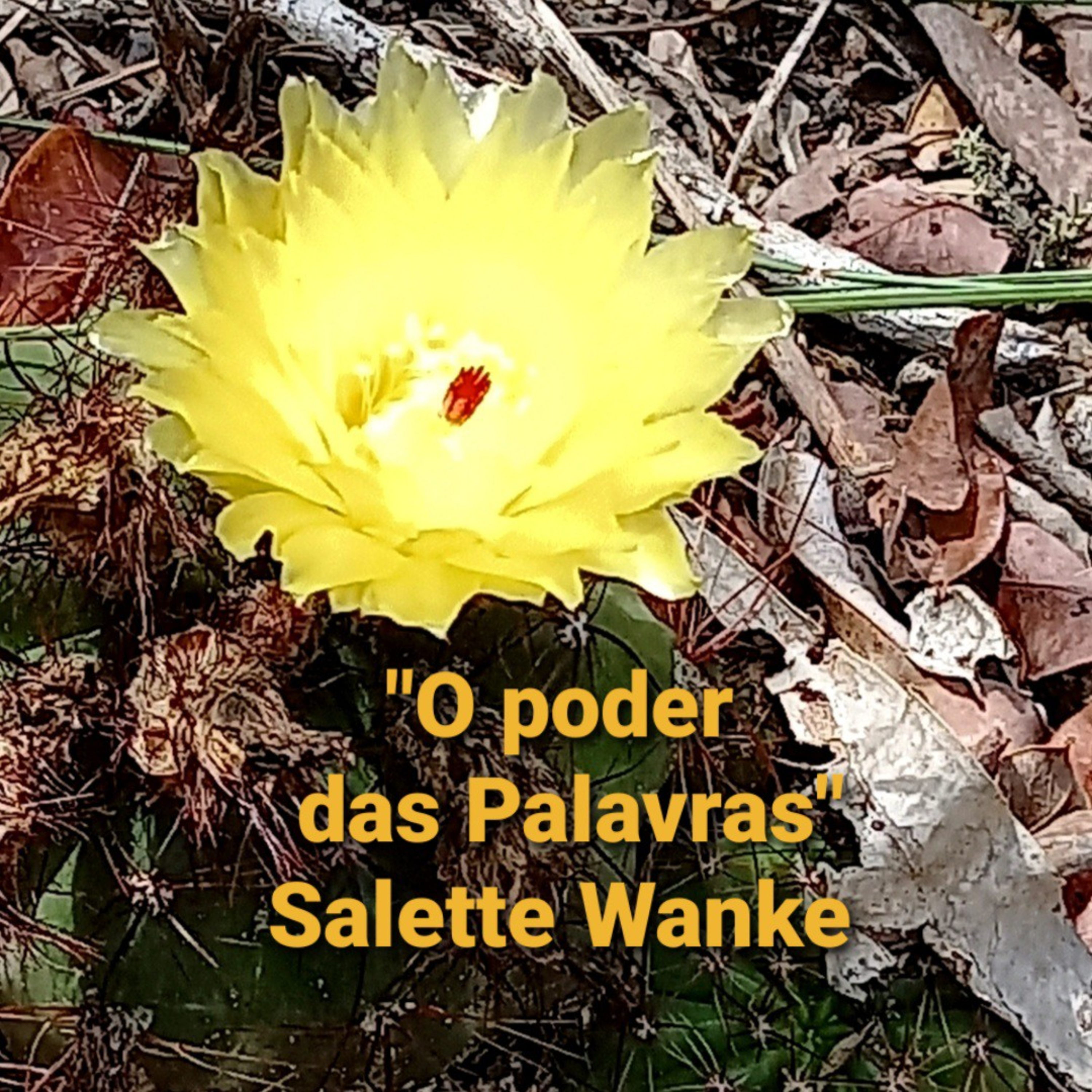 Tempo de Decisão