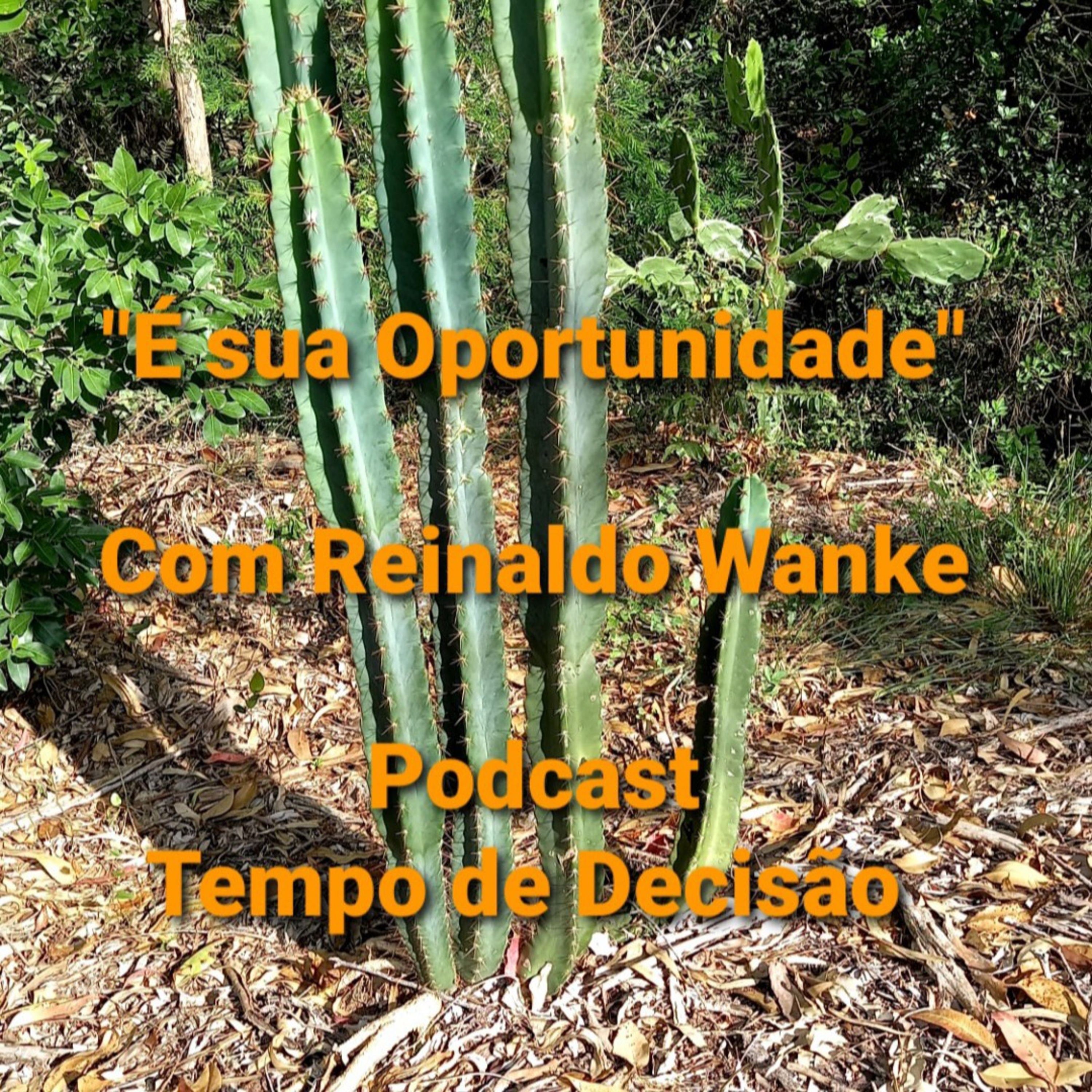 É sua Oportunidade"                     Tempo 15Jan2022.2 episode artwork