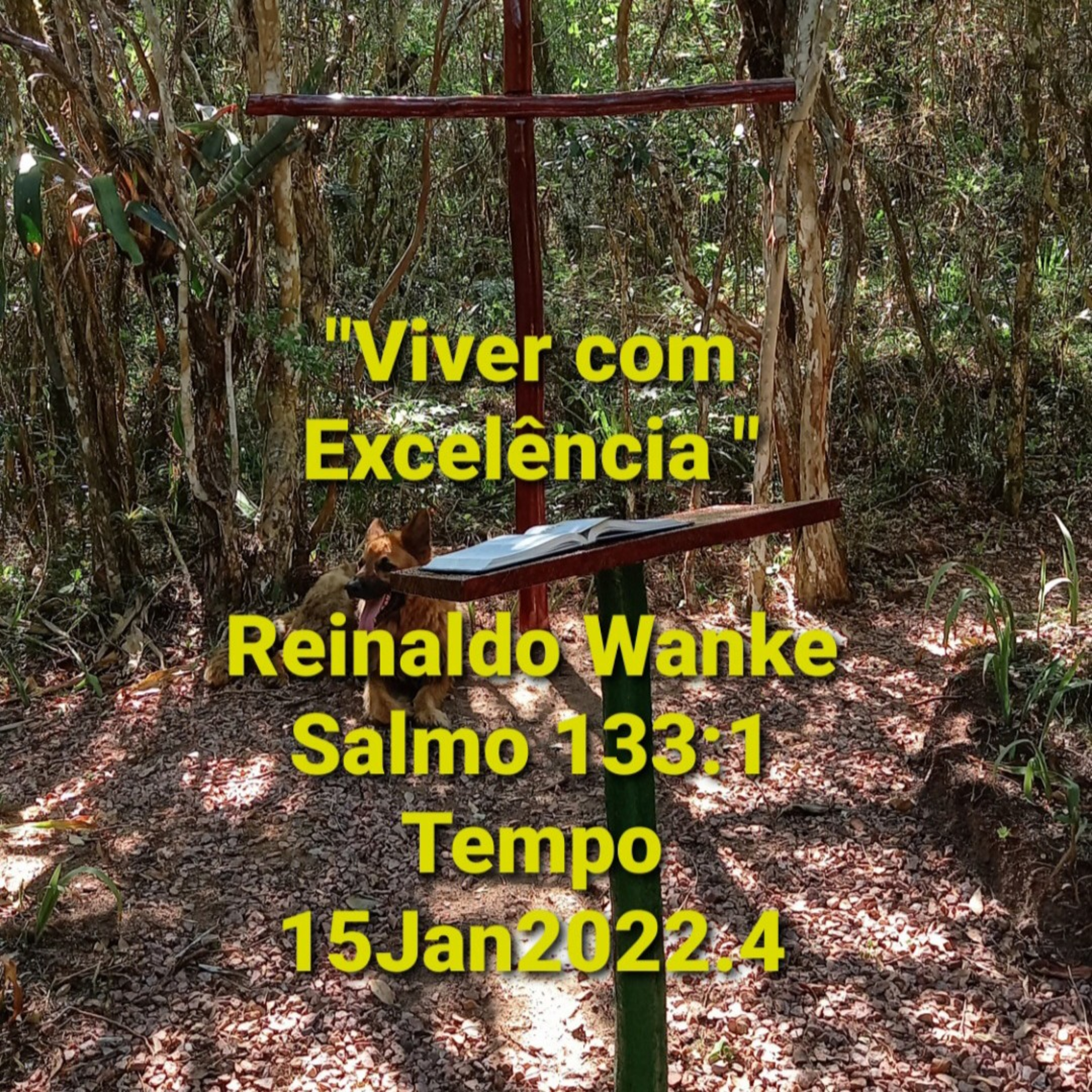 "Viver com Excelência"           Tempo15Jan2022.4 episode artwork