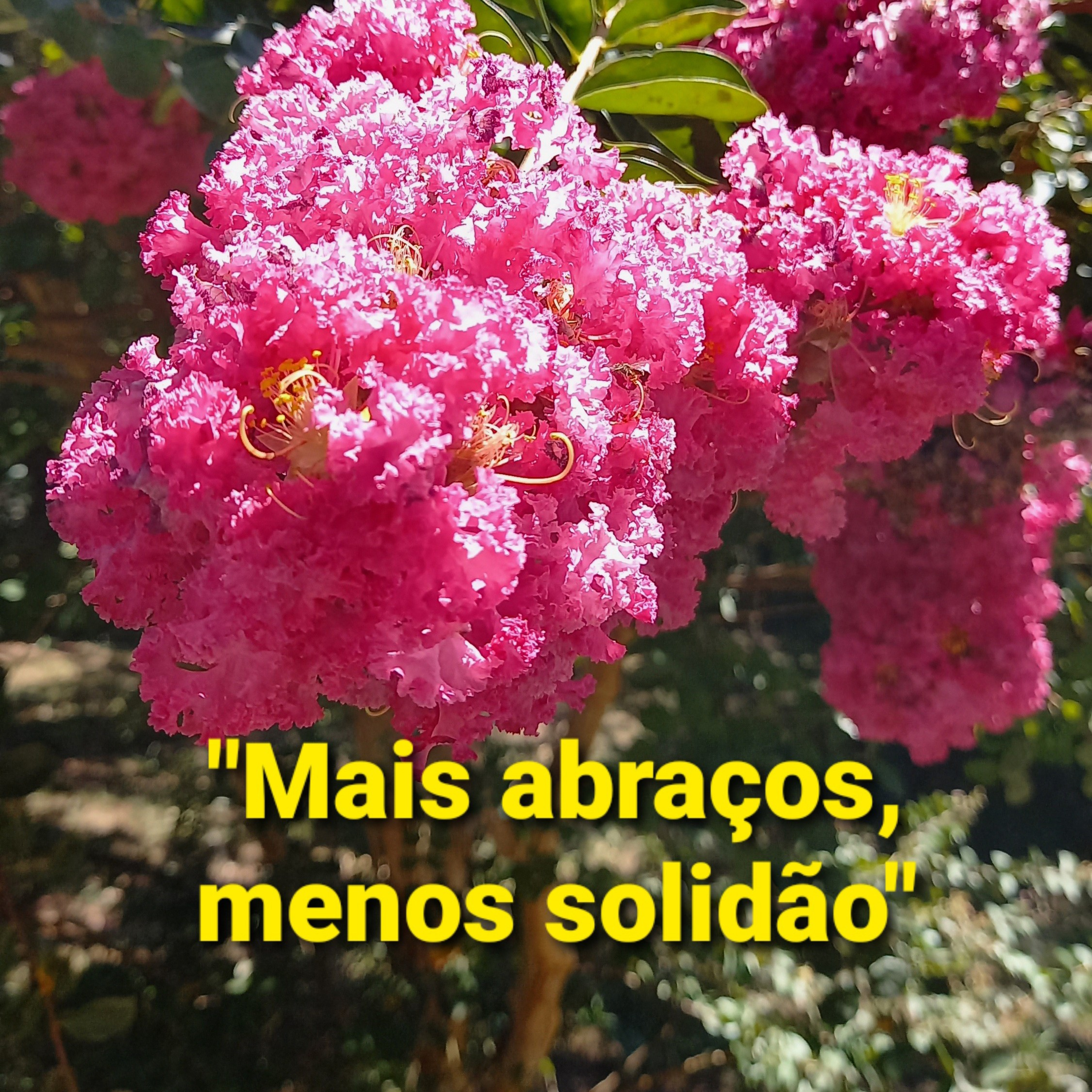 "Mais abraços, menos solidão"           Tempo29Jan2022 episode artwork