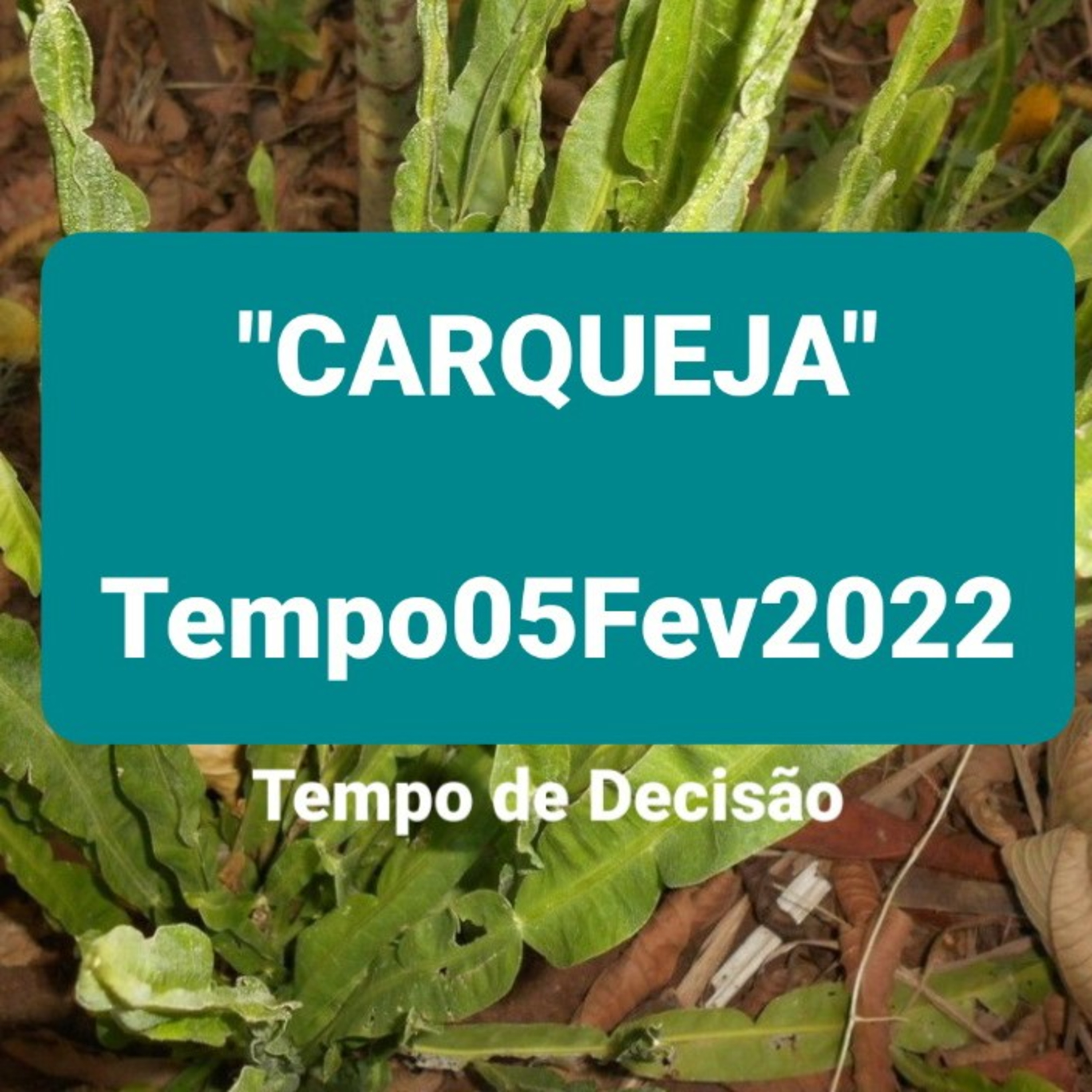 Tempo de Decisão