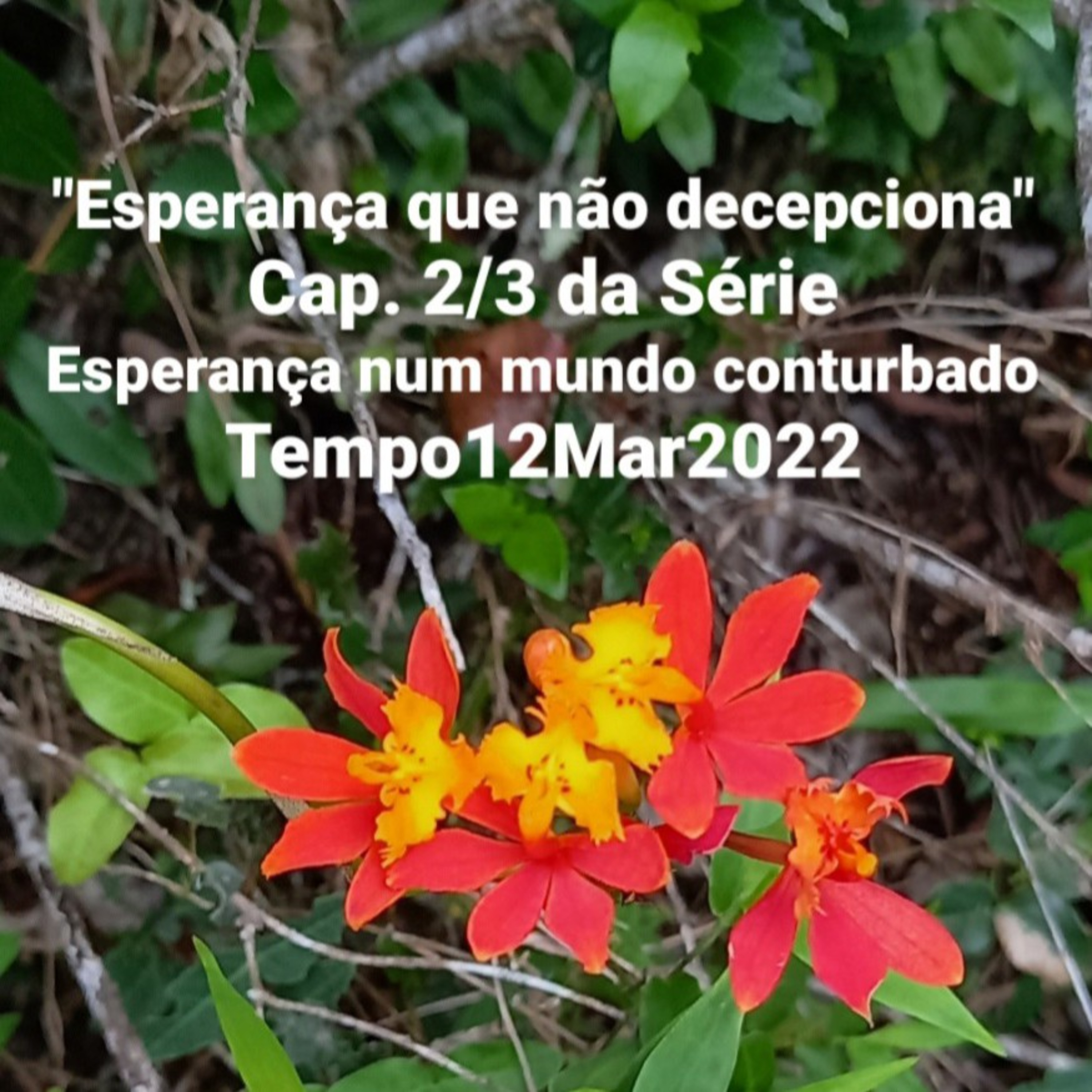 "Esperança que não decepciona" Cap. 2/3 Tempo12Mar2022 episode artwork