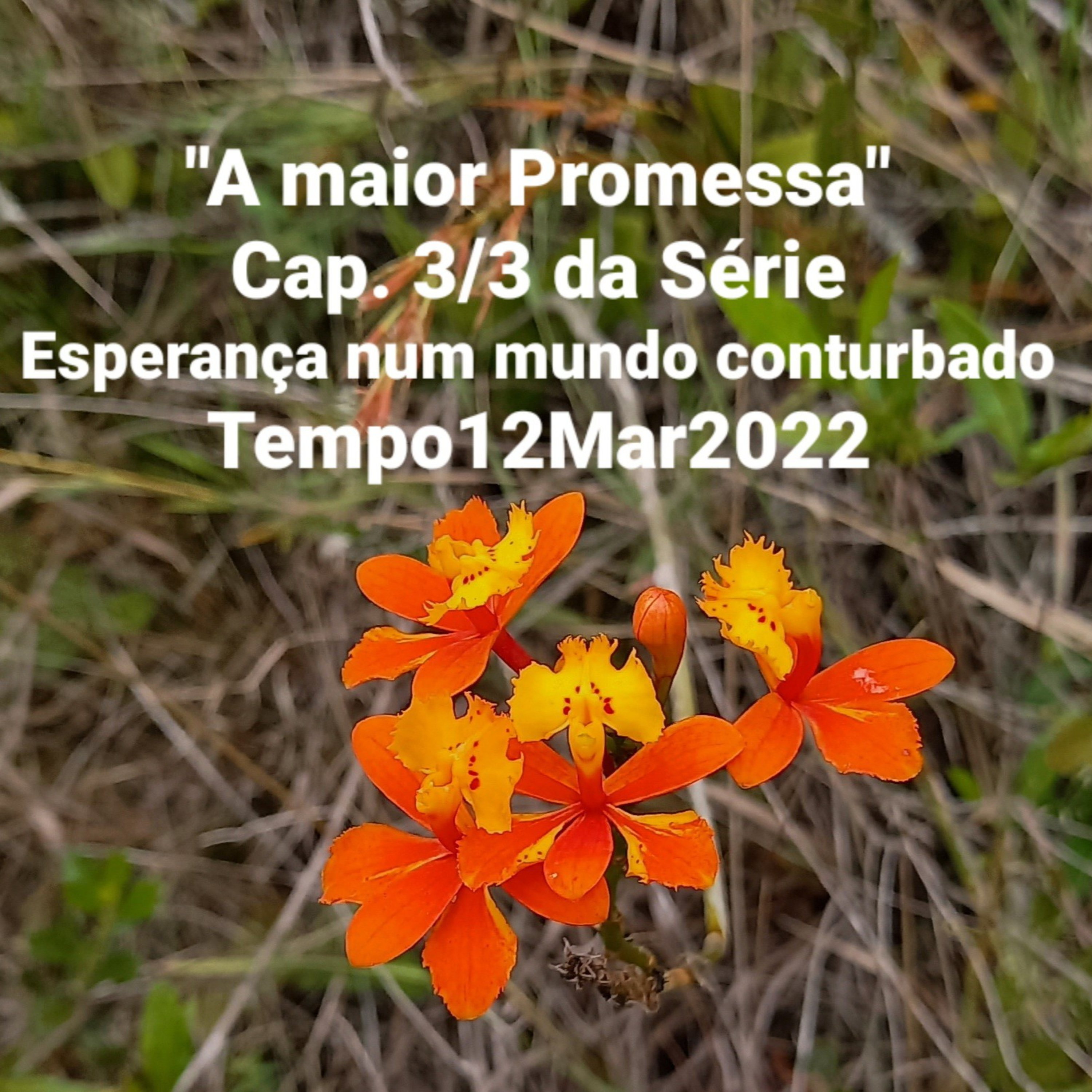 "A maior Promessa" Cap. 3/3            Tempo12Mar2022 episode artwork
