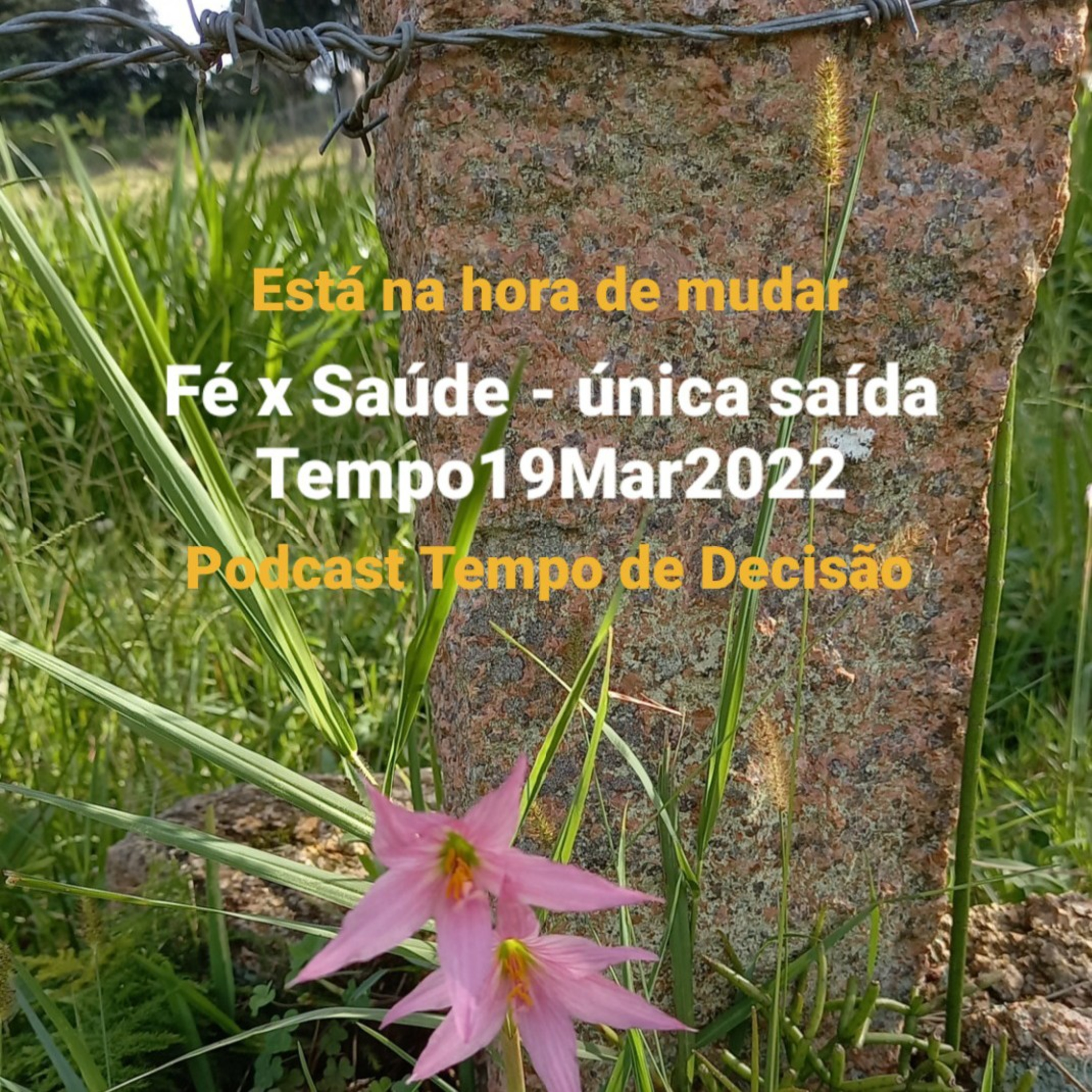 "Fé x Saúde - única saída"            Tempo19Mar2022 episode artwork