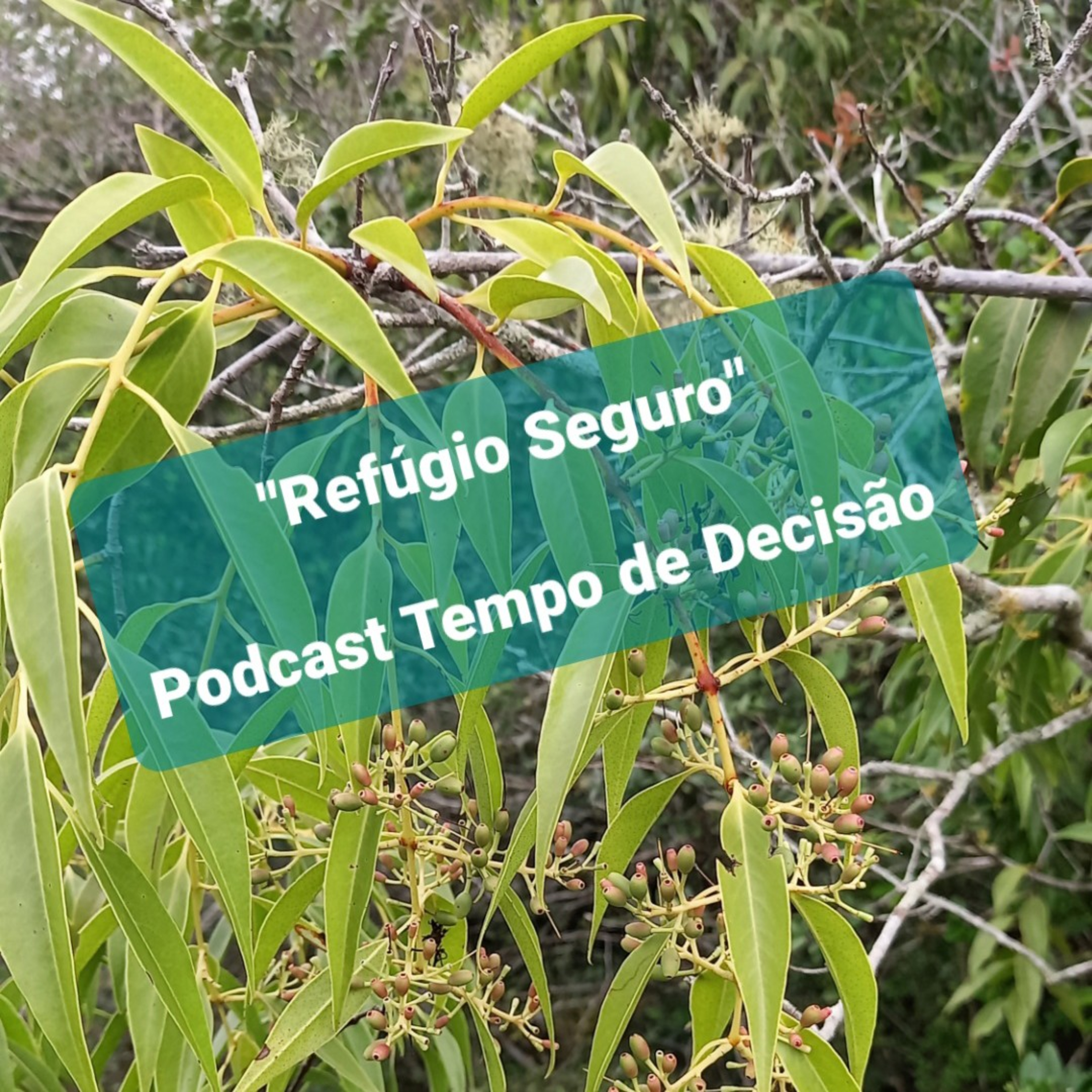 "Refúgio Seguro"              Tempo26Mar2022 episode artwork