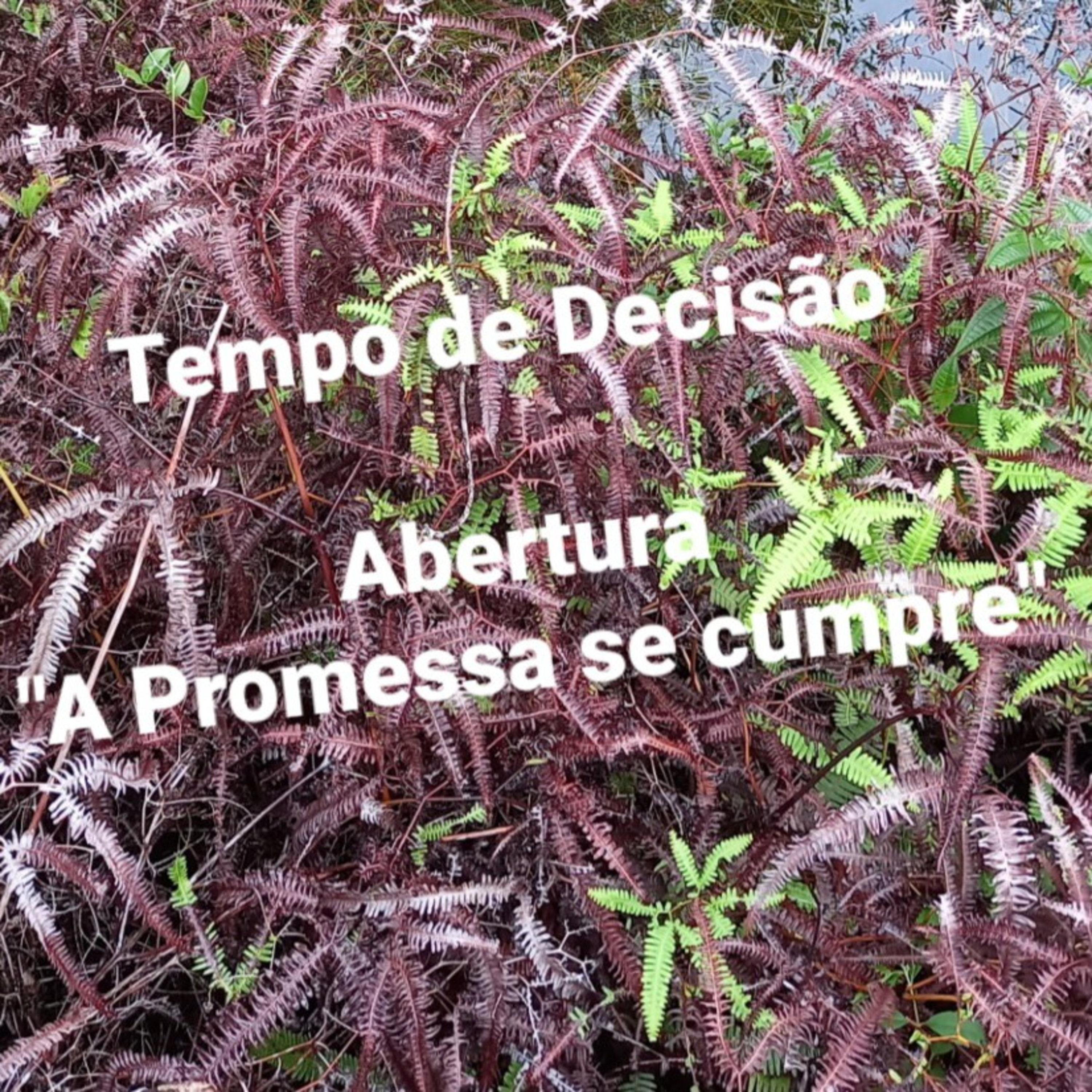 "A Promessa que se cumpre"           Tempo14Maio2022 episode artwork