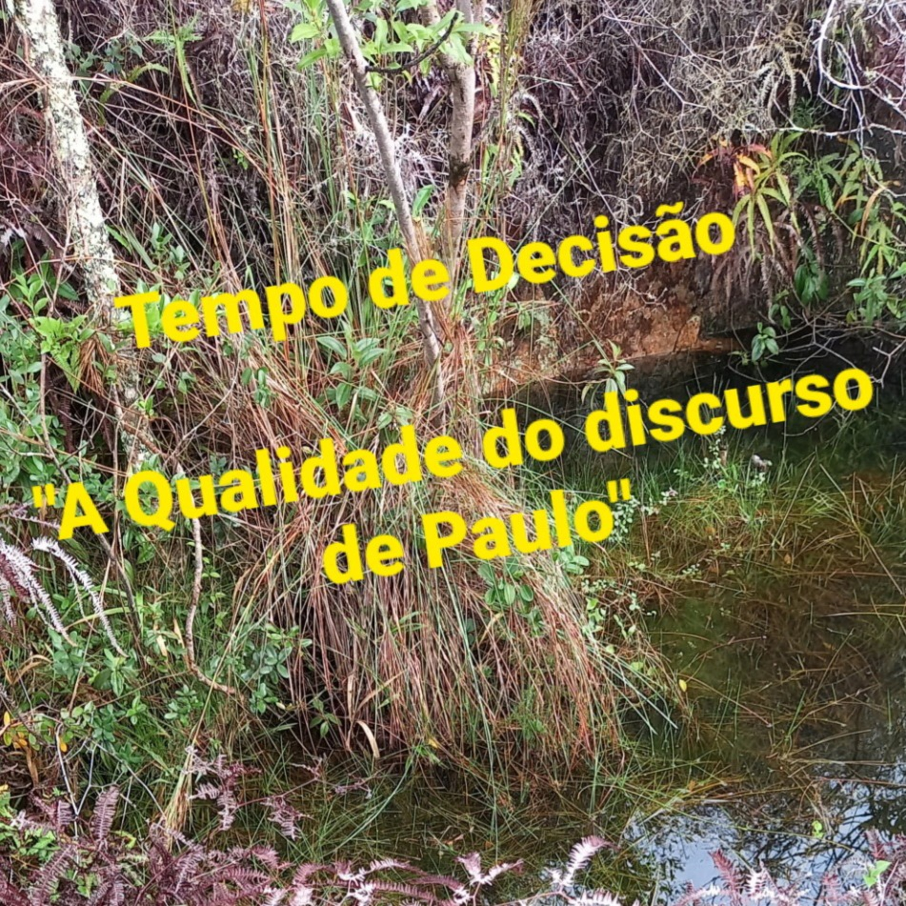 "A Qualidade do discurso de Paulo"                 Tempo14 Maio2022  episode artwork