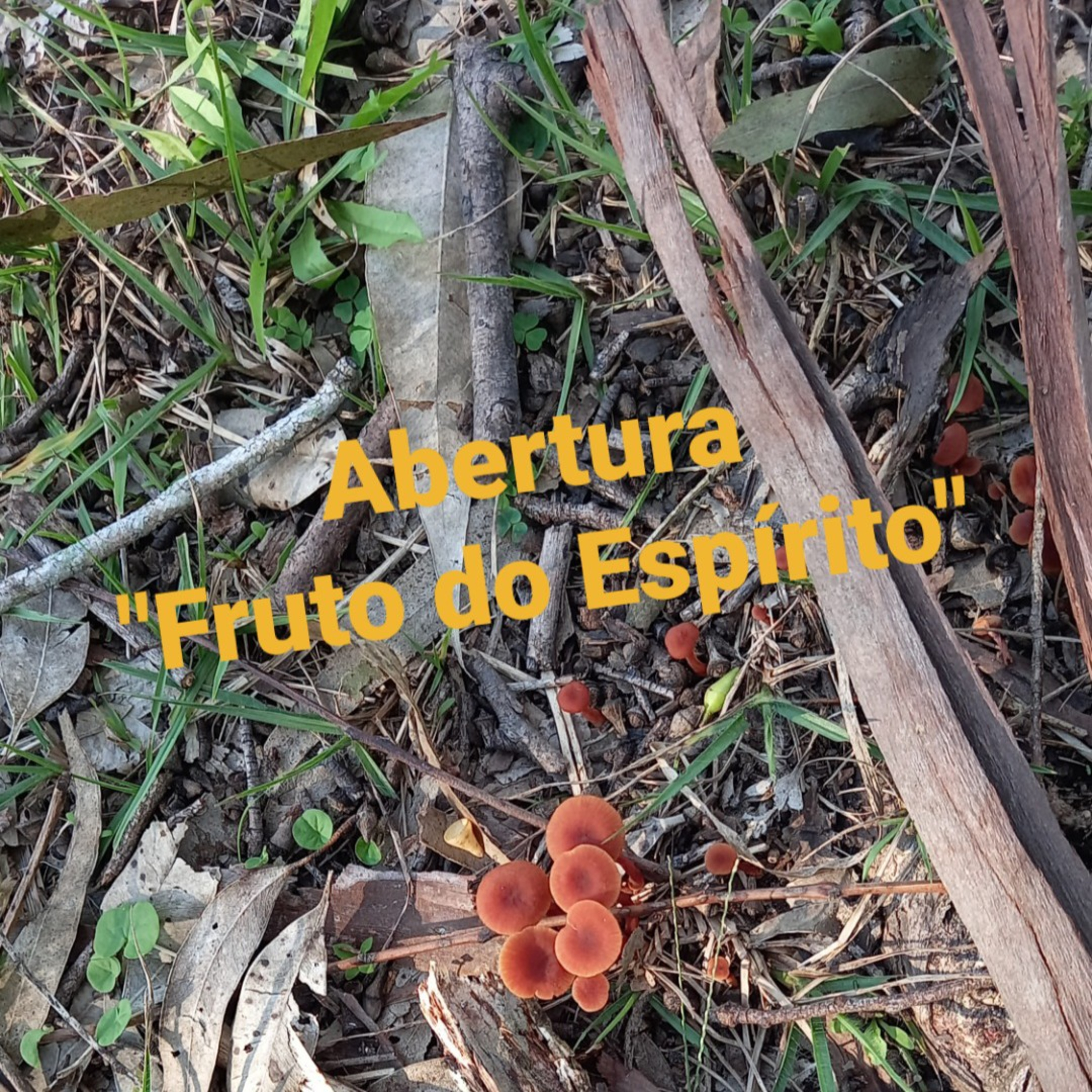 Tempo de Decisão