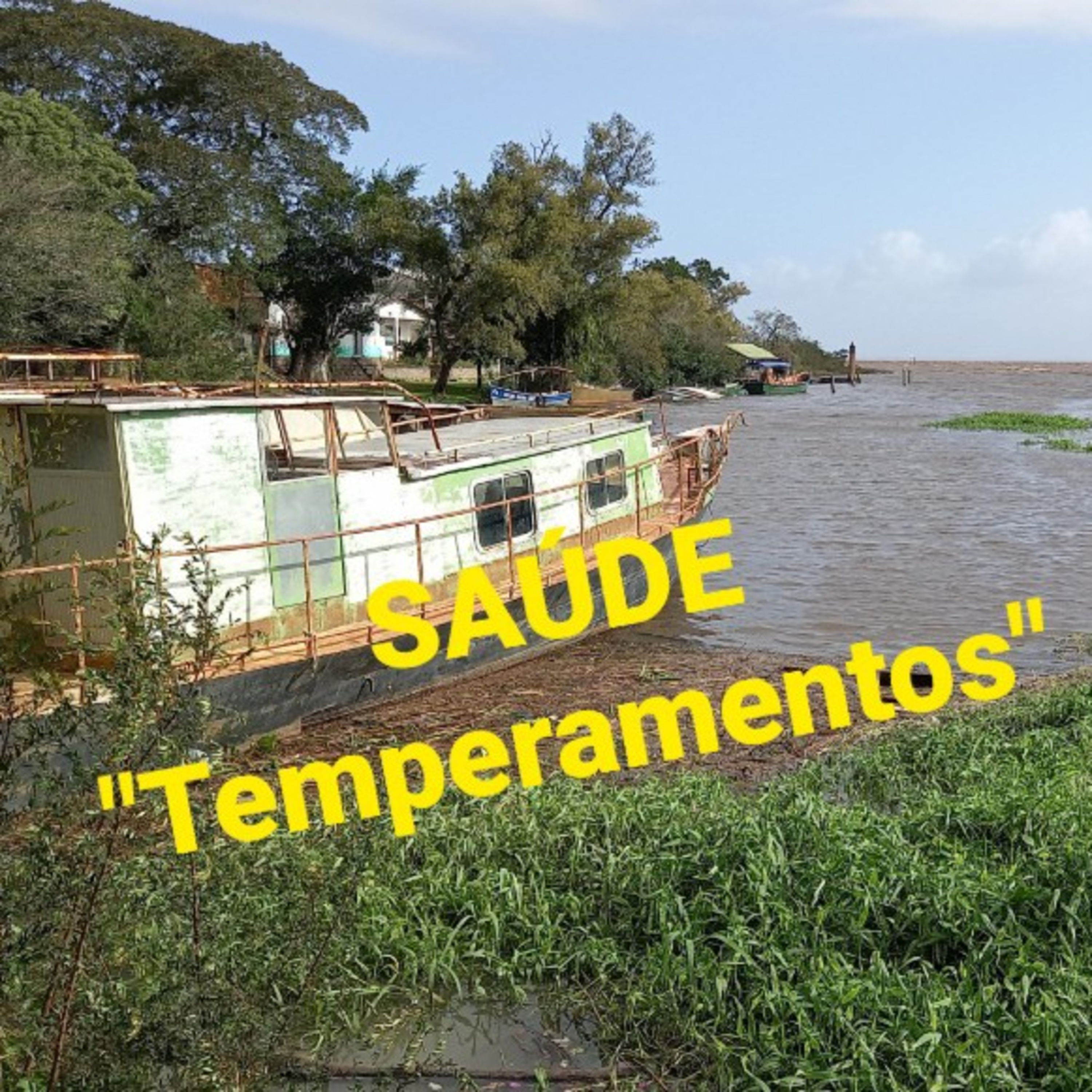 "Temperamentos"                          Saúde 21Maio2022 episode artwork