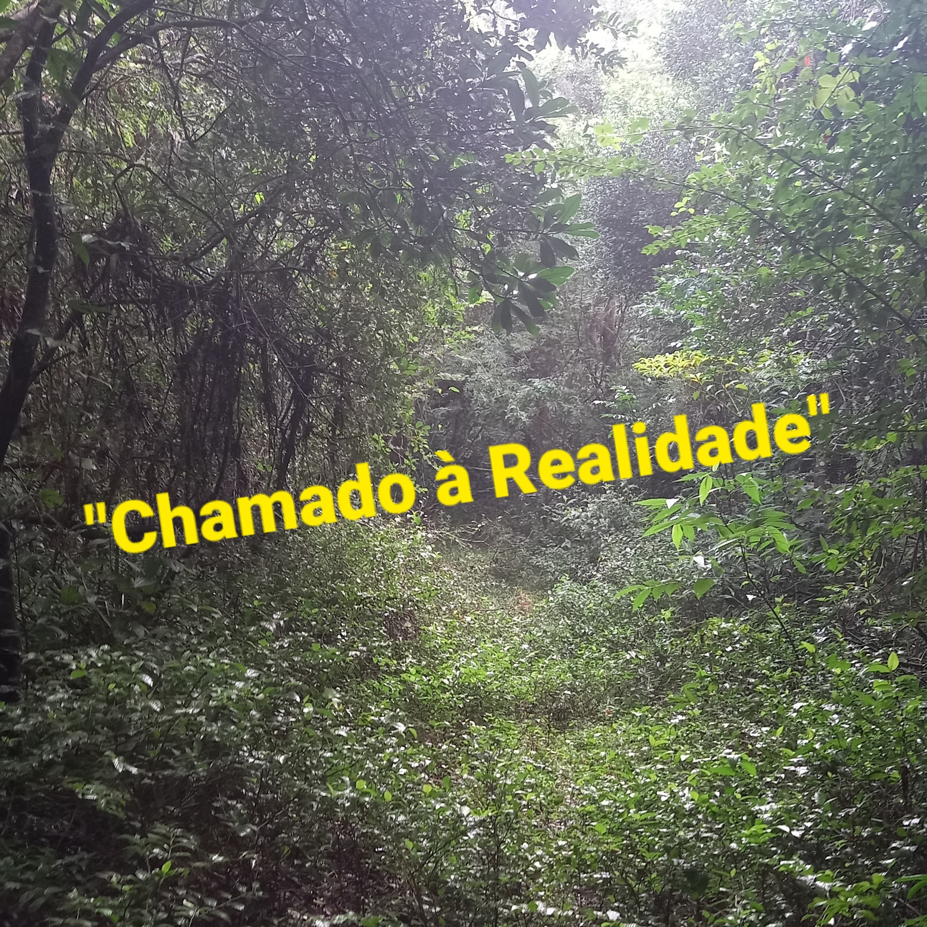 "Chamado à Realidade"                    Final Tempo21Maio2022 episode artwork