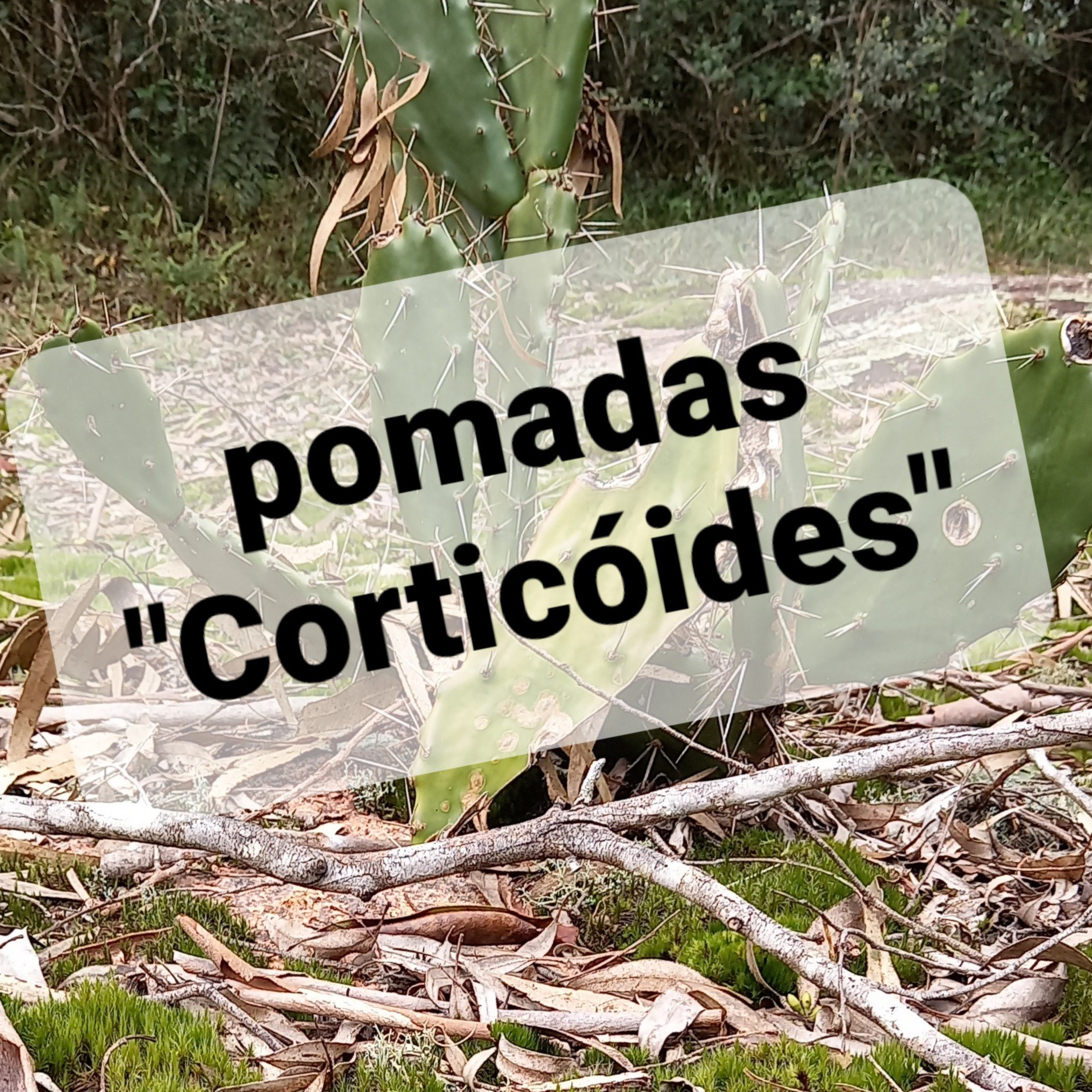 "Corticóides"              Tempo16Julho2022 episode artwork