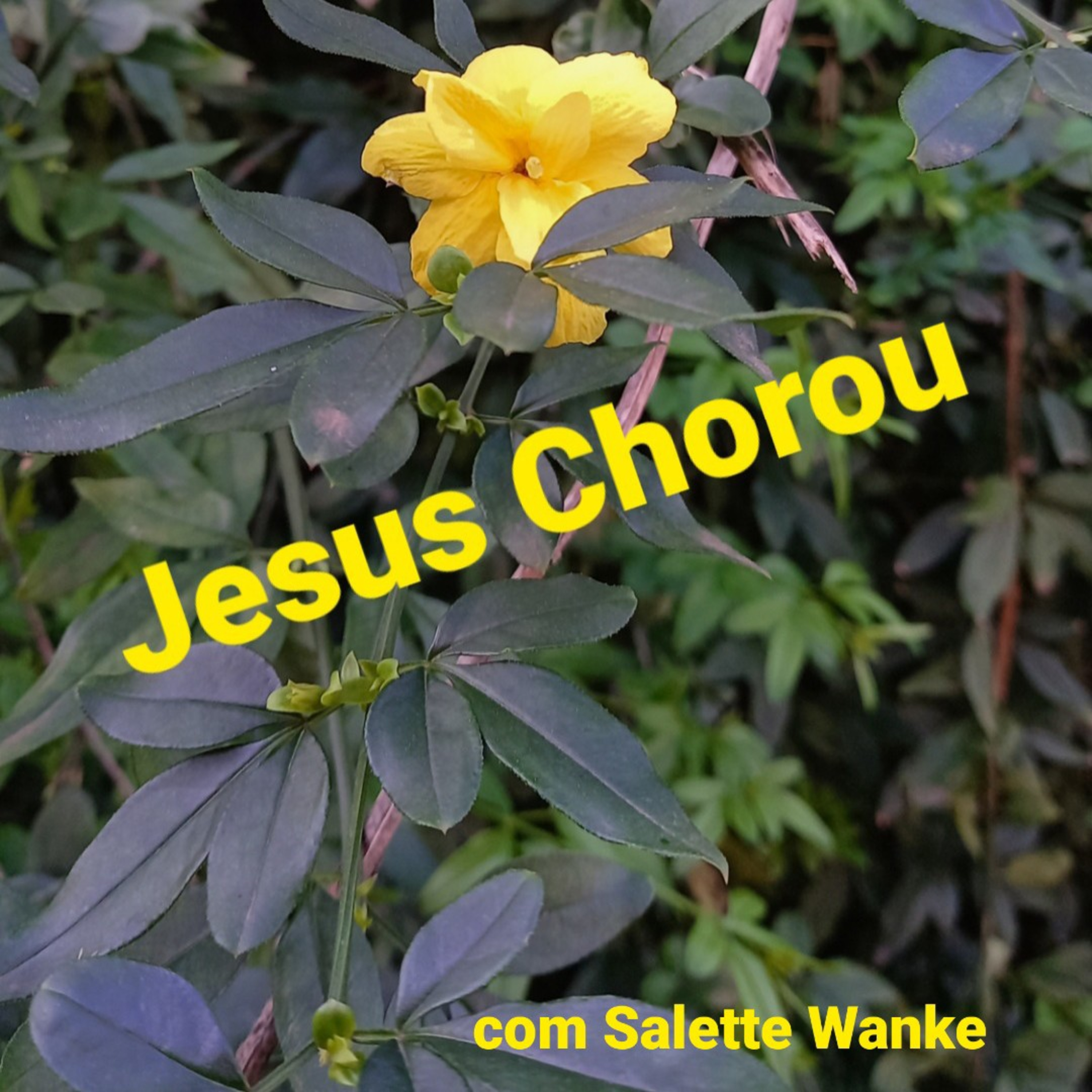Jesus Chorou Tempo10Set2022 episode artwork