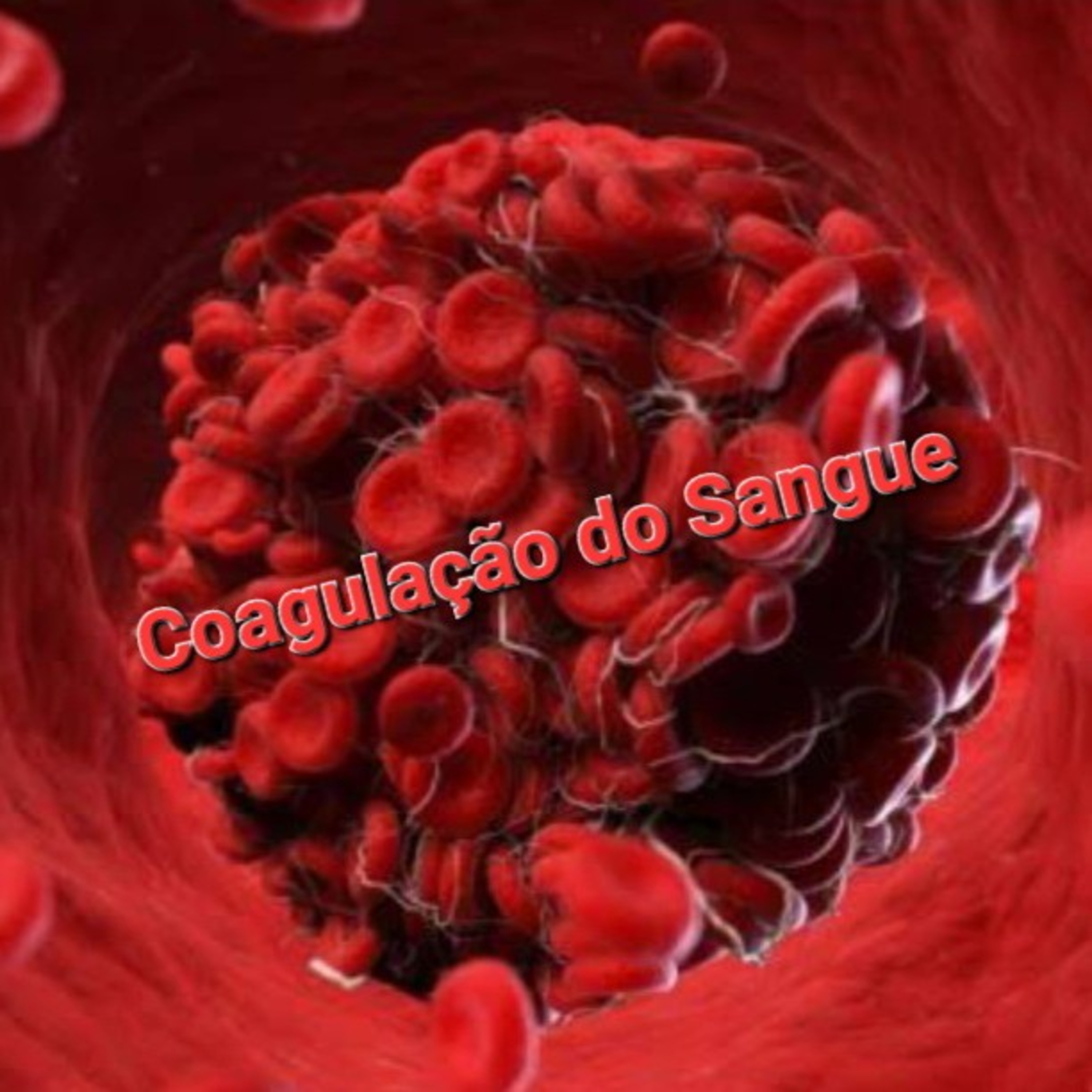 Tempo de Decisão