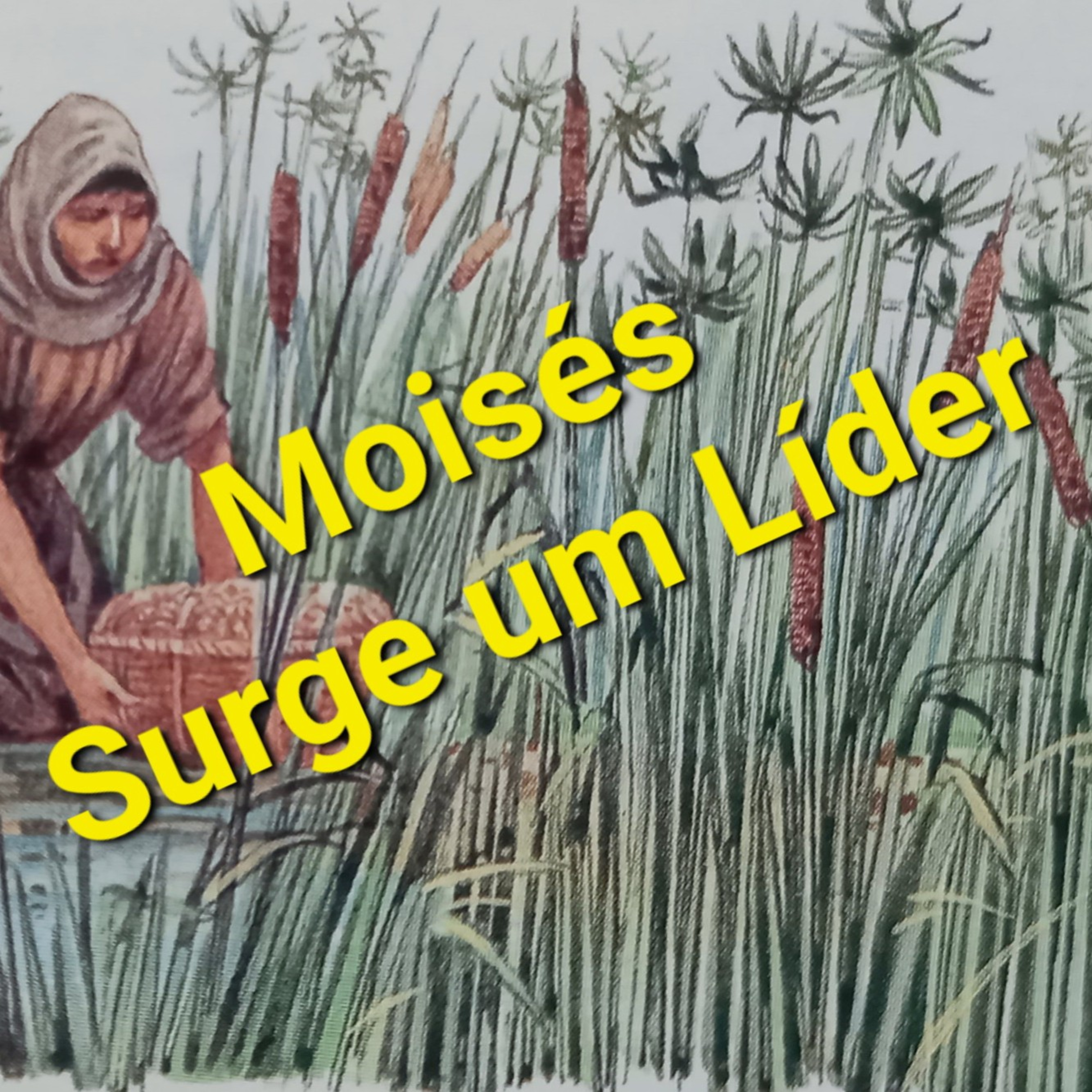 Moisés - Surge um Líder          Tempo12Nov2022 episode artwork
