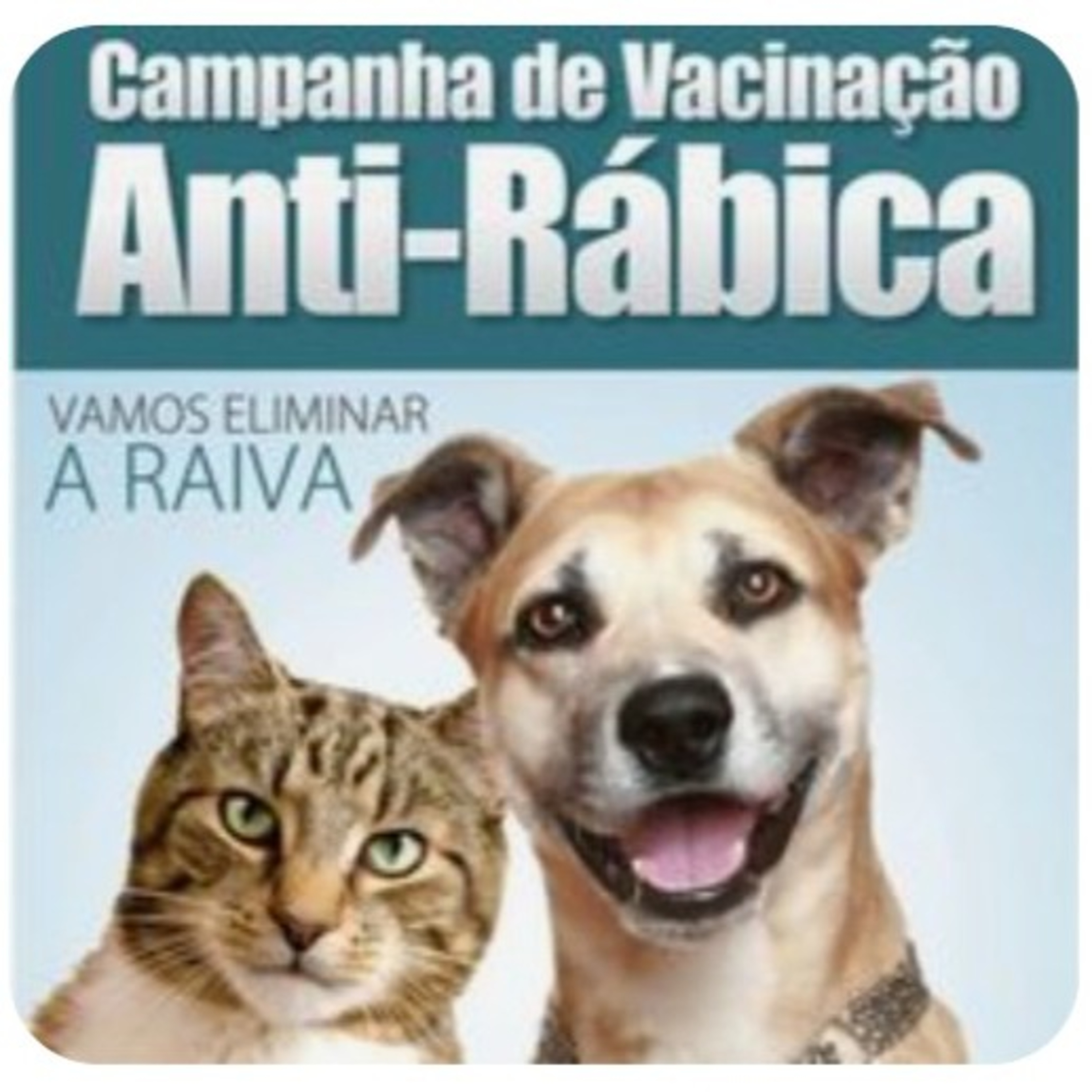 Vacina Anti-rábica            Tempo17Dez2022 episode artwork