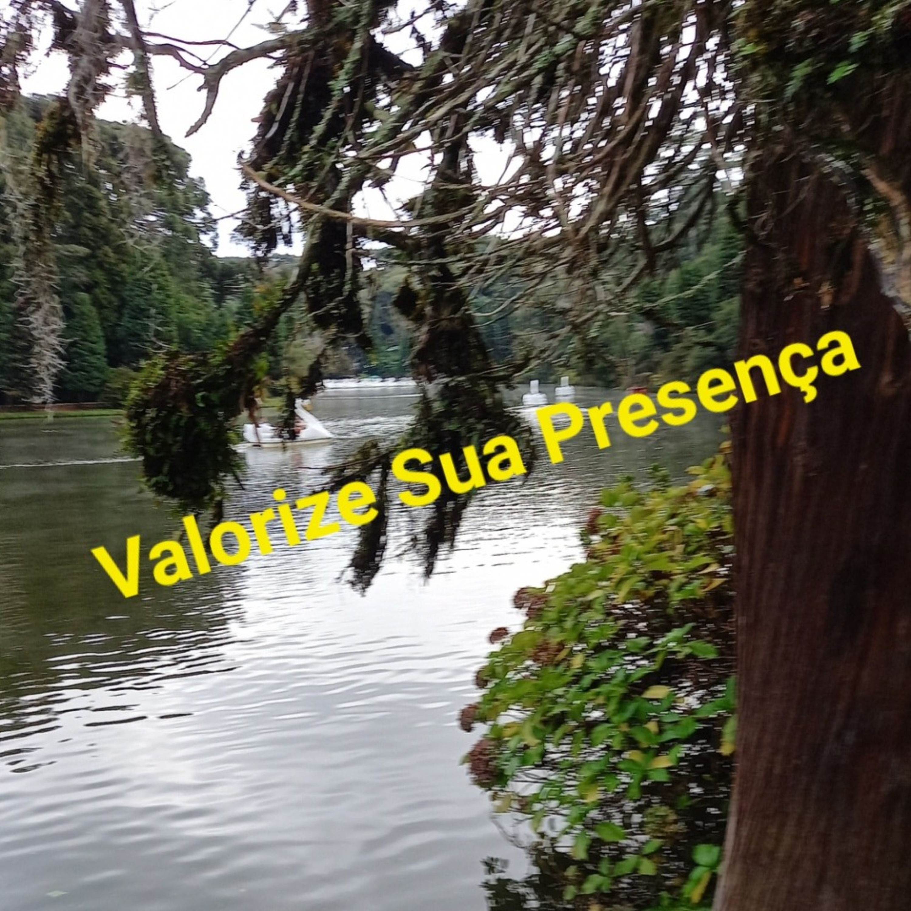 Tempo de Decisão