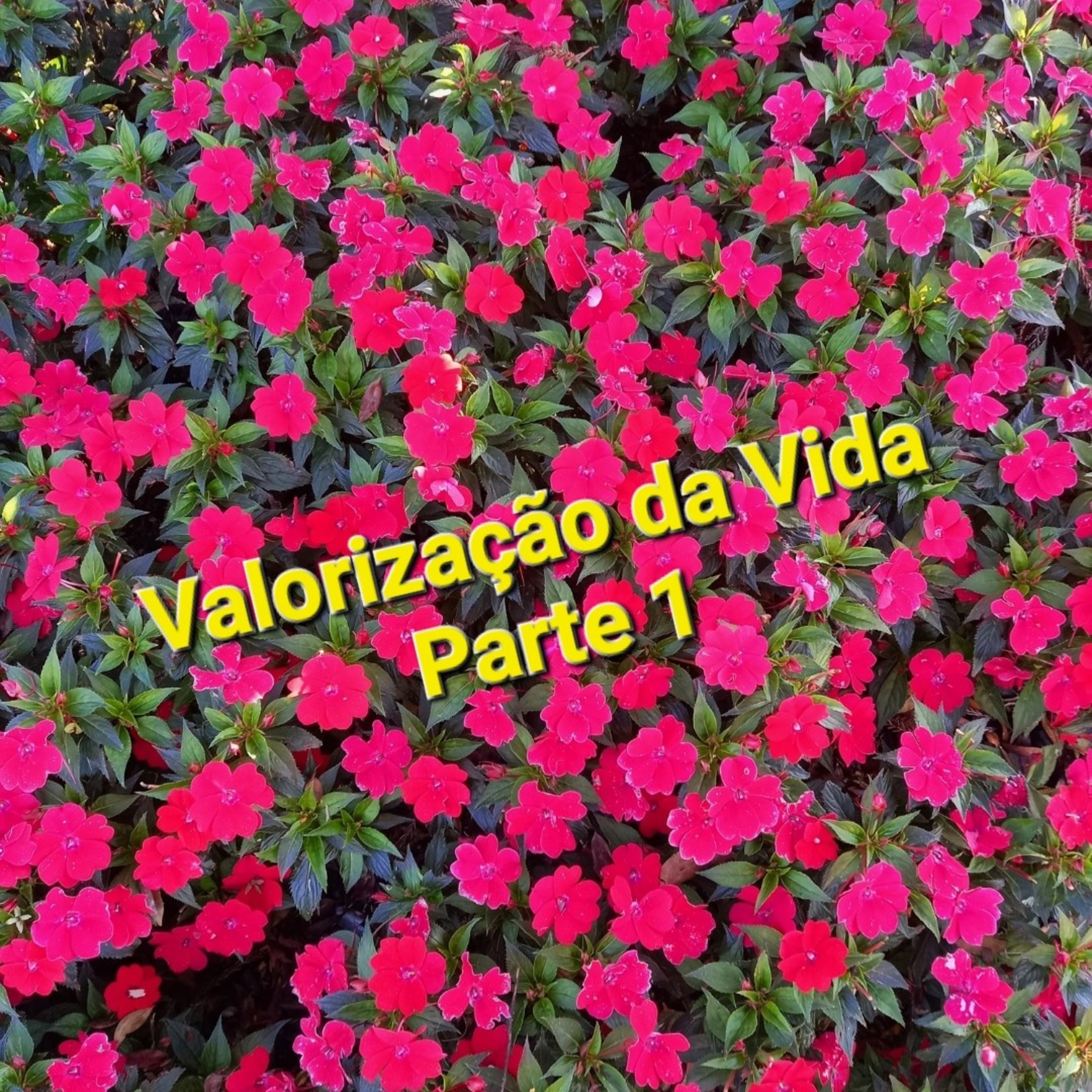 Tempo de Decisão