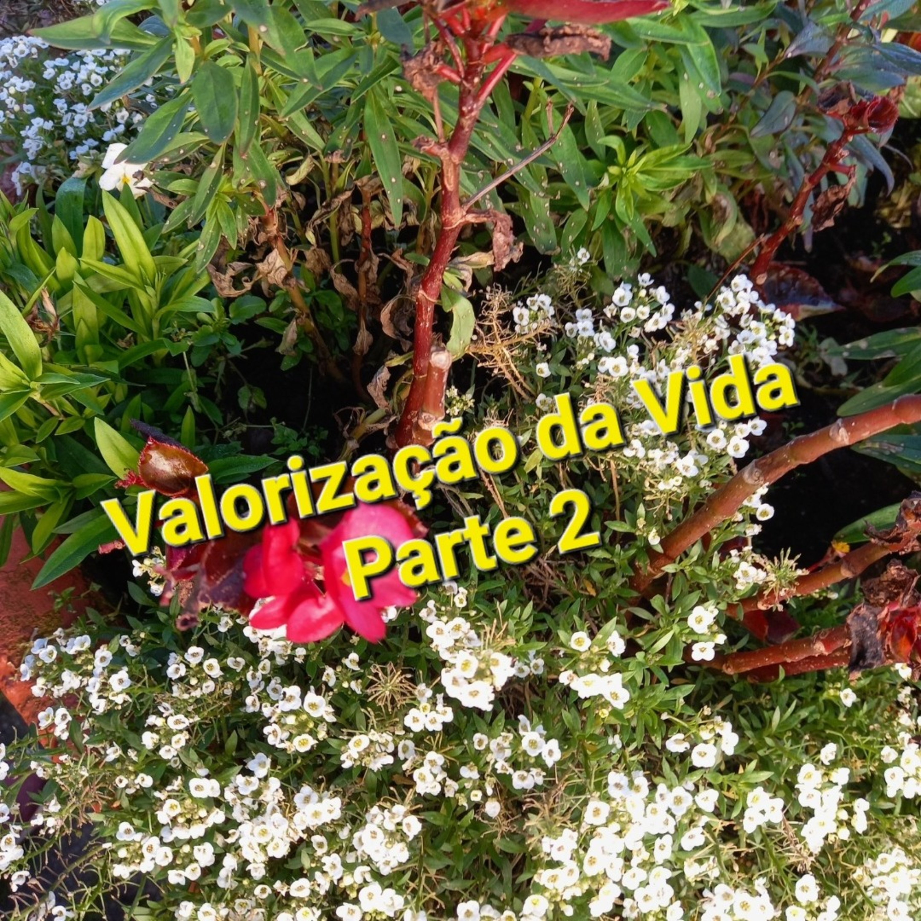 Tempo de Decisão