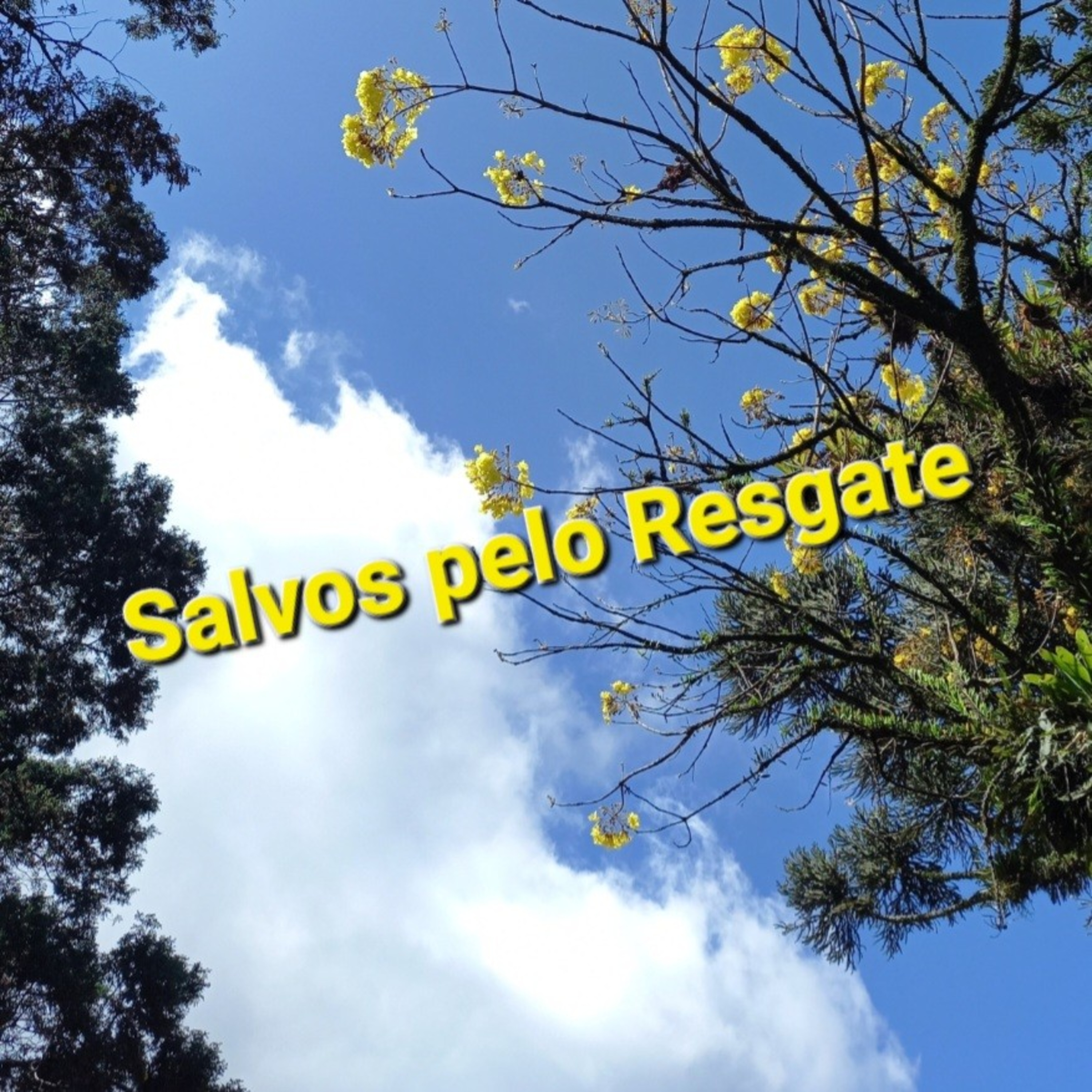 Tempo de Decisão