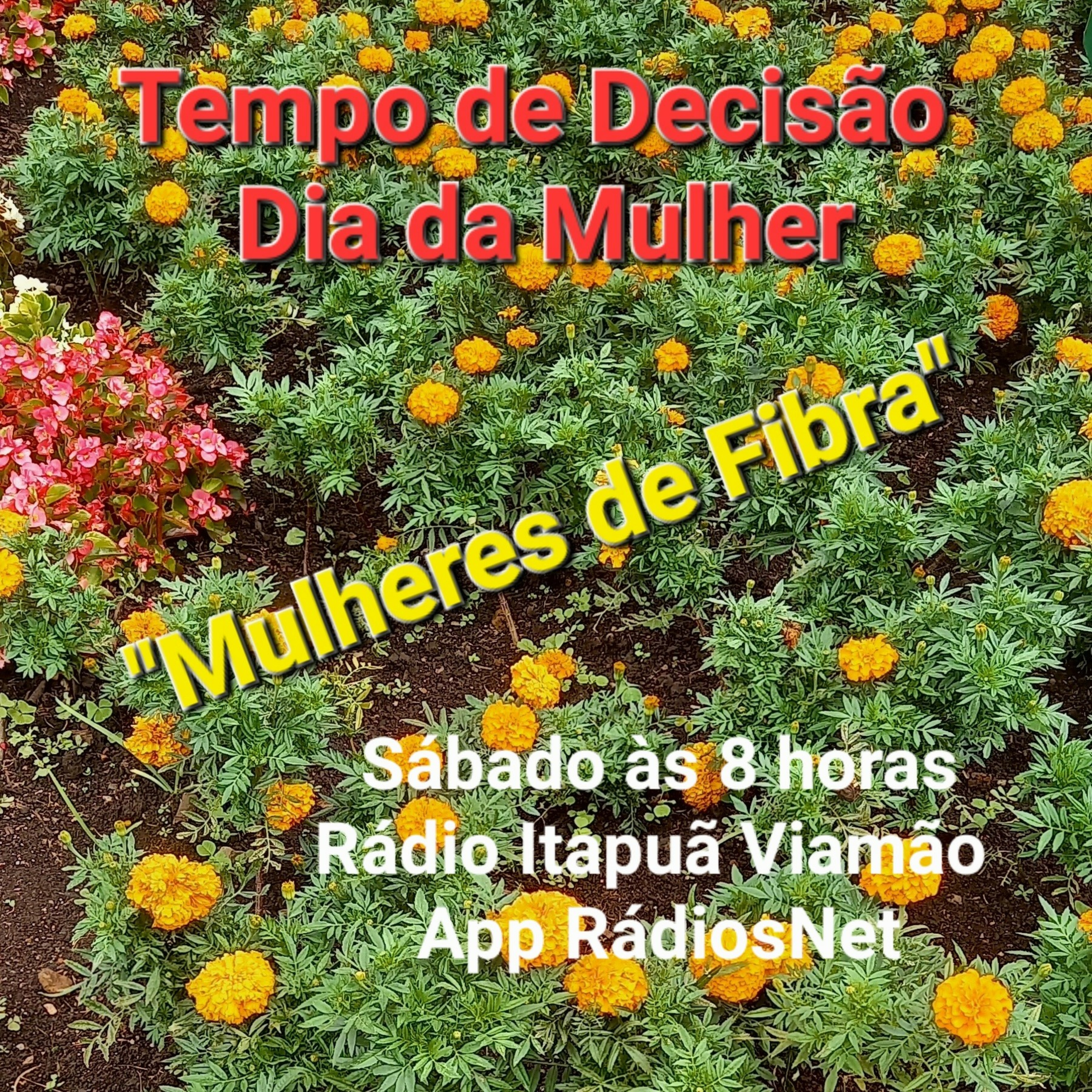 Tempo de Decisão
