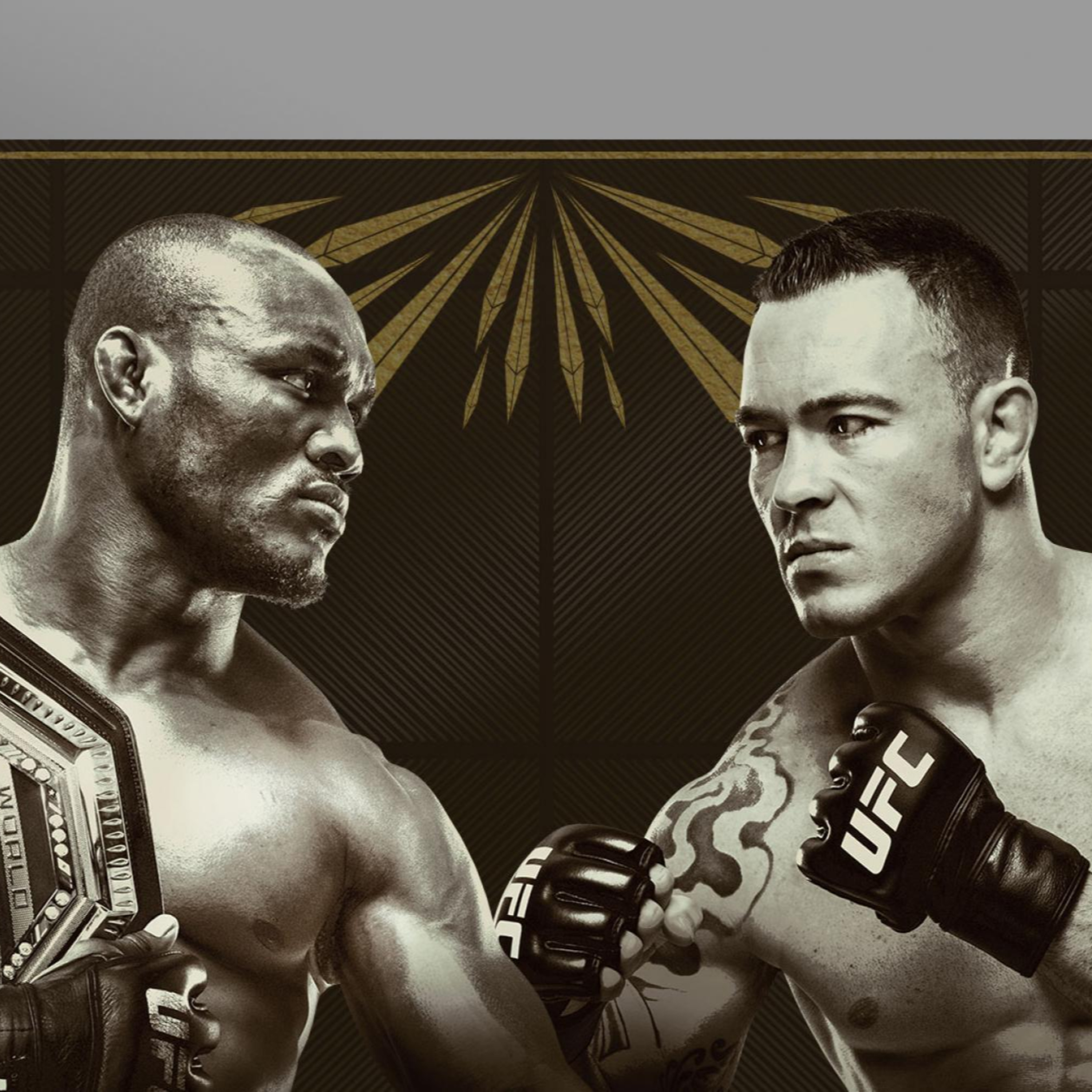 UFC 245 is Stacked!!!! episode artwork