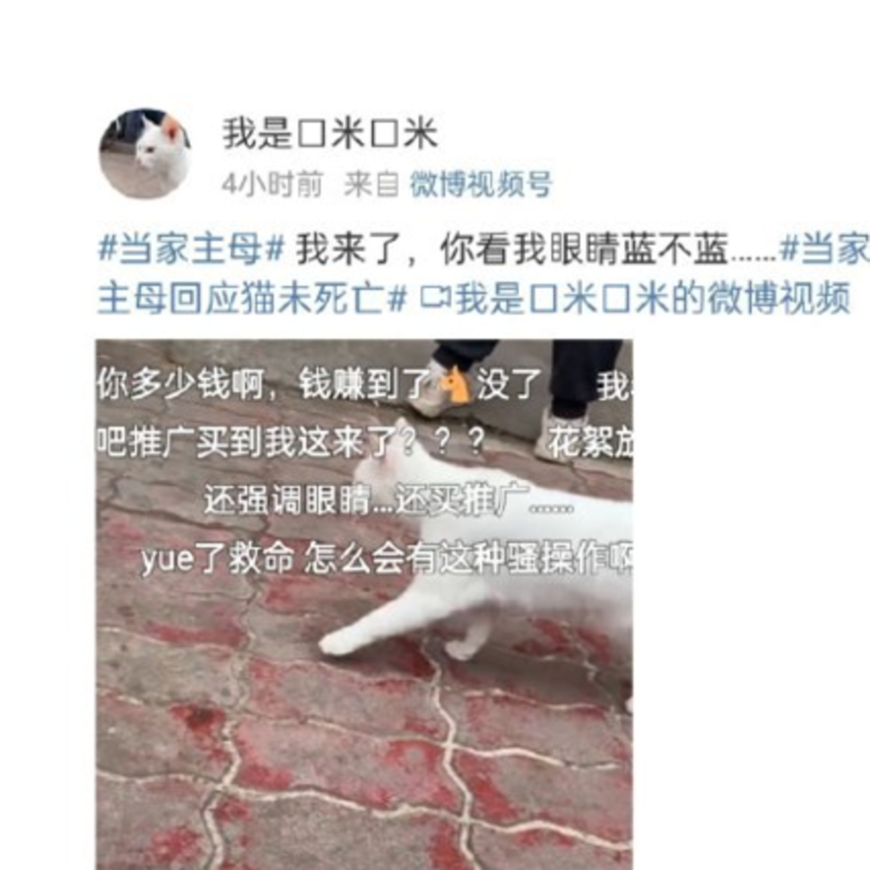 中国リアルタイムトレンド
