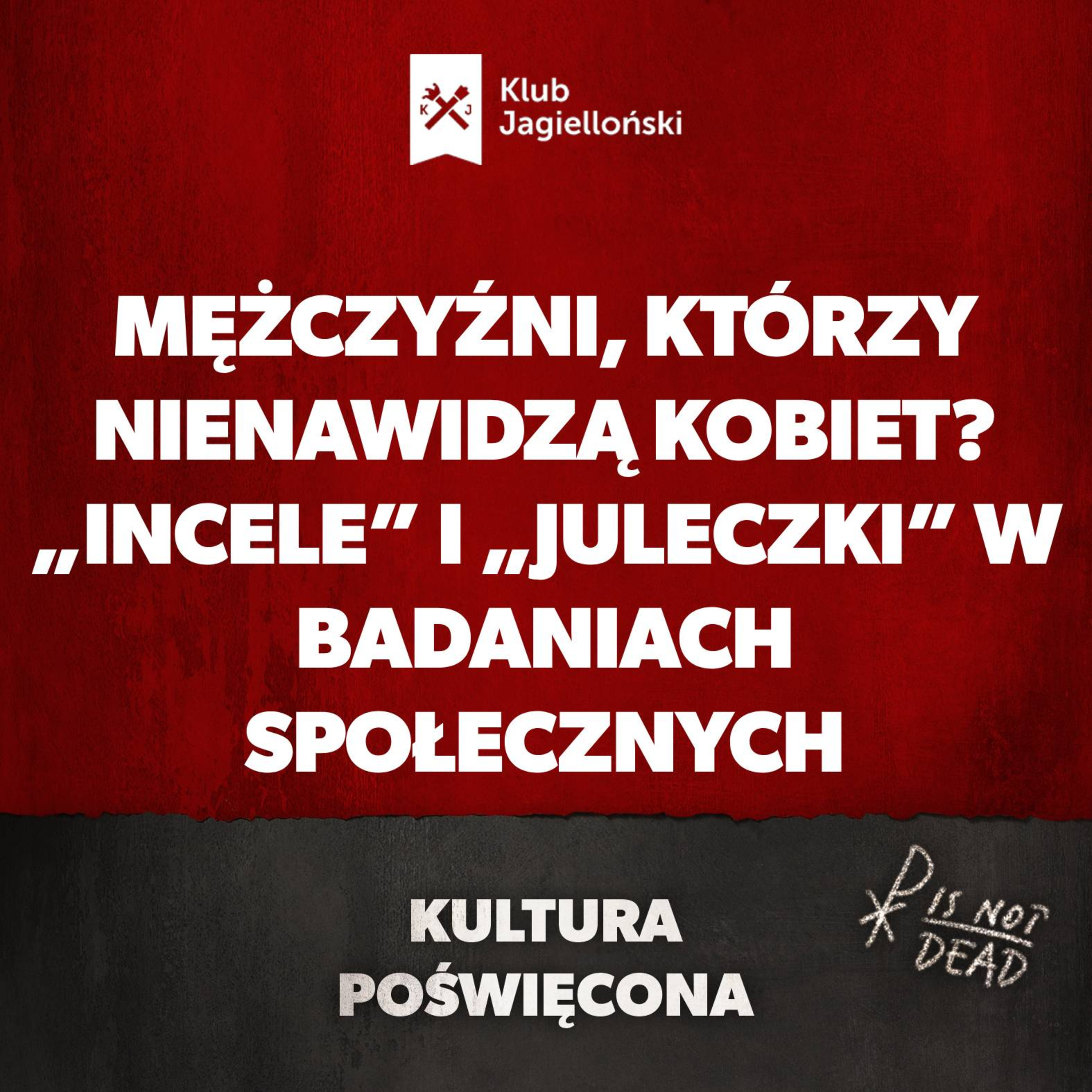 Mężczyźni, którzy nienawidzą kobiet? „Incele” i „Juleczki” w badaniach społecznych episode artwork