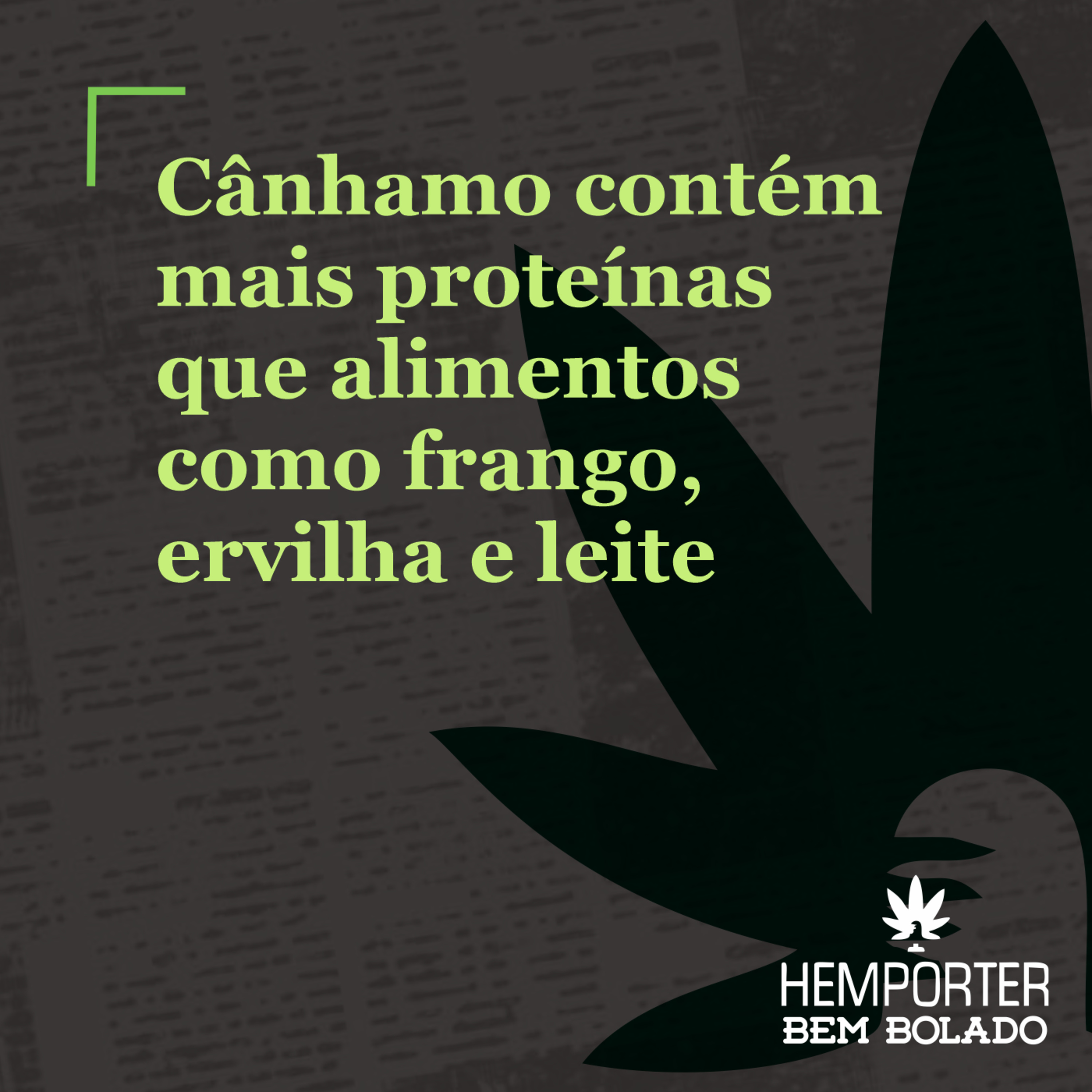Cânhamo contém mais proteína que alimentos como frango, ervilha e leite episode artwork