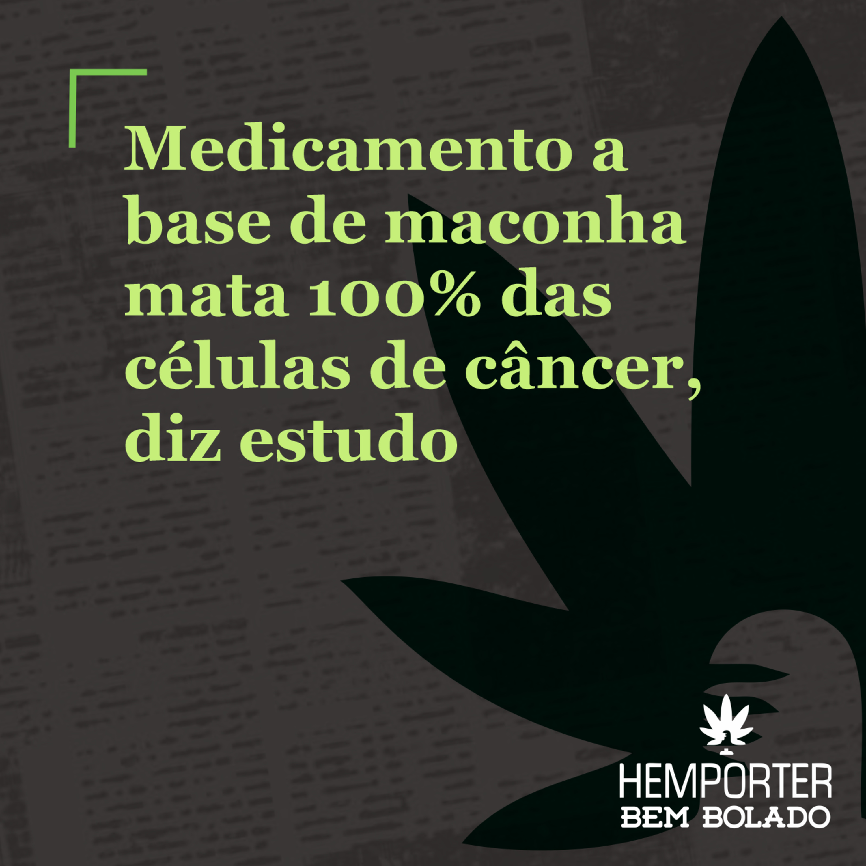 Medicamento a base de maconha mata 100% das células de câncer, diz estudo episode artwork