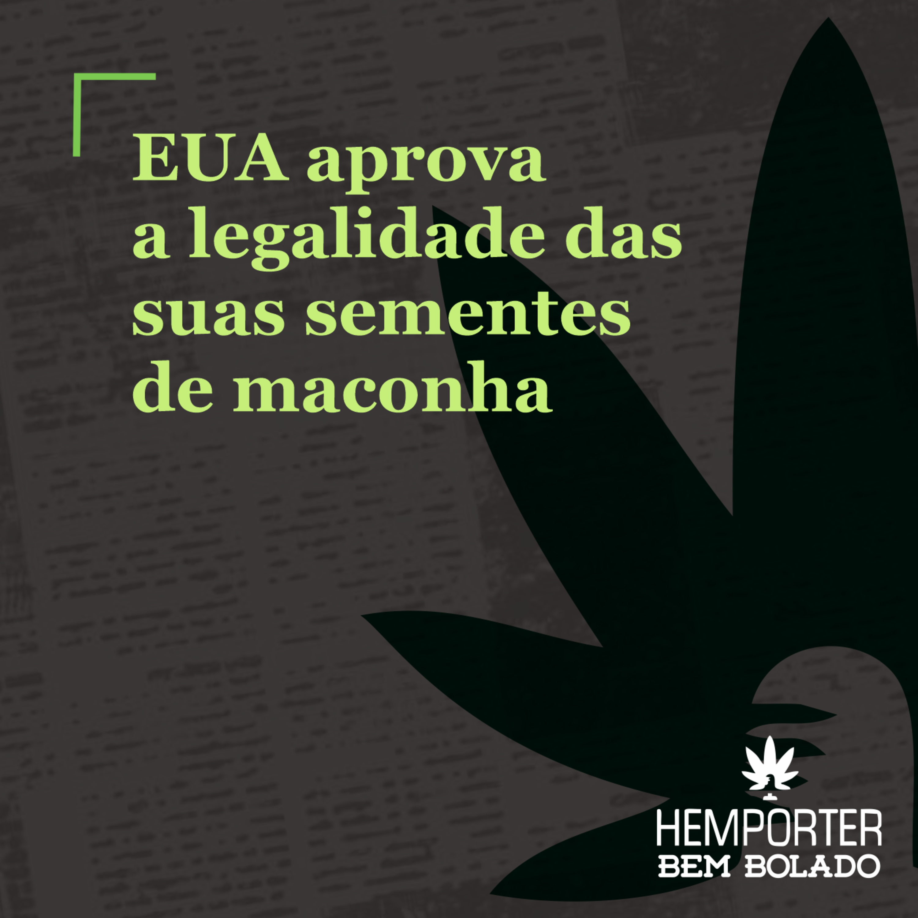 EUA aprova a legalidade das suas sementes de maconha episode artwork