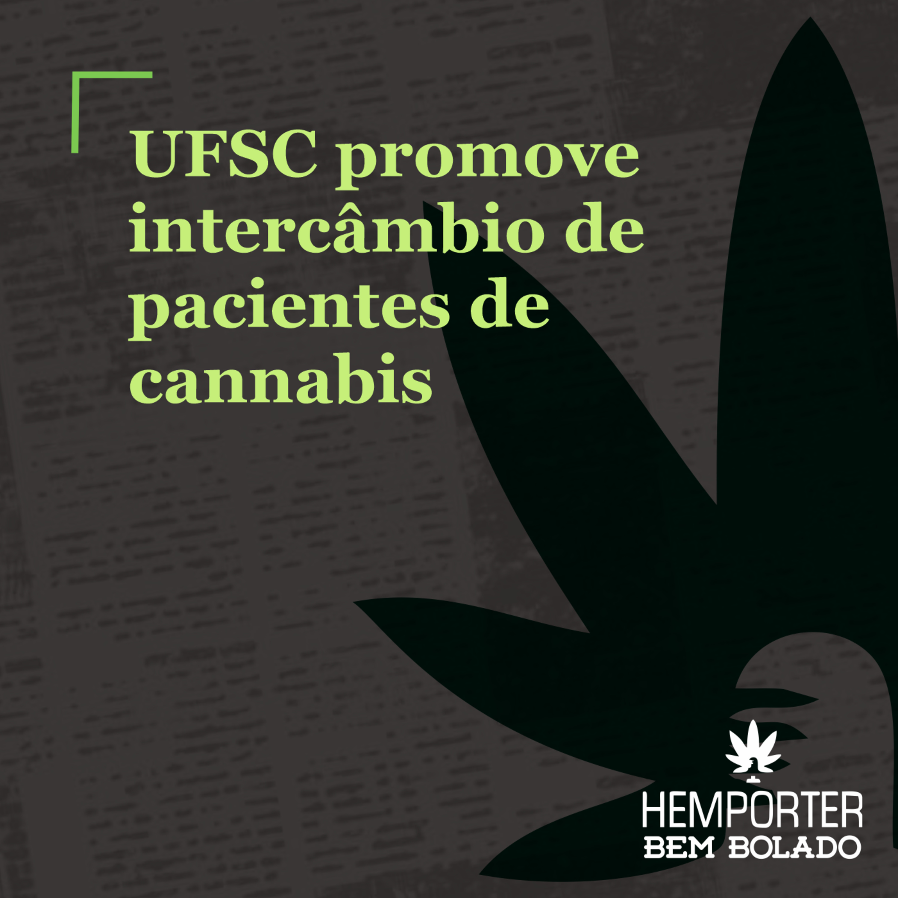Núcleo da UFSC promove intercâmbio de pacientes de cannabis episode artwork