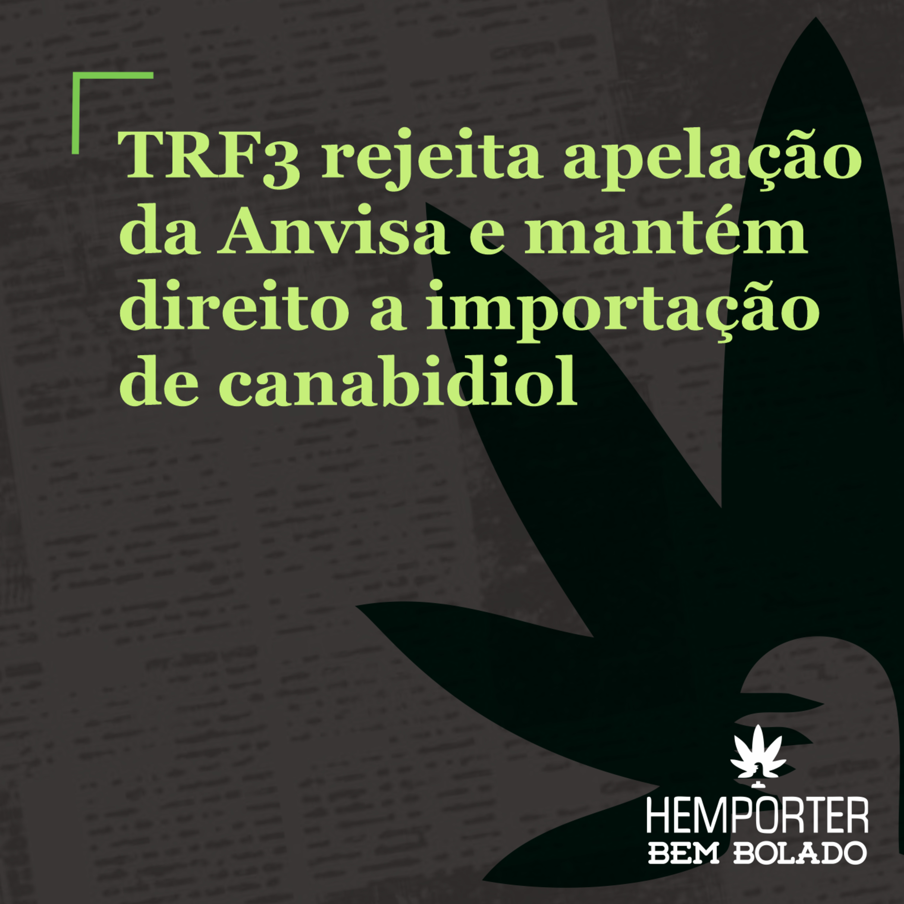 TRF3 rejeita apelação da Anvisa e mantém direito a importação de canabidiol episode artwork